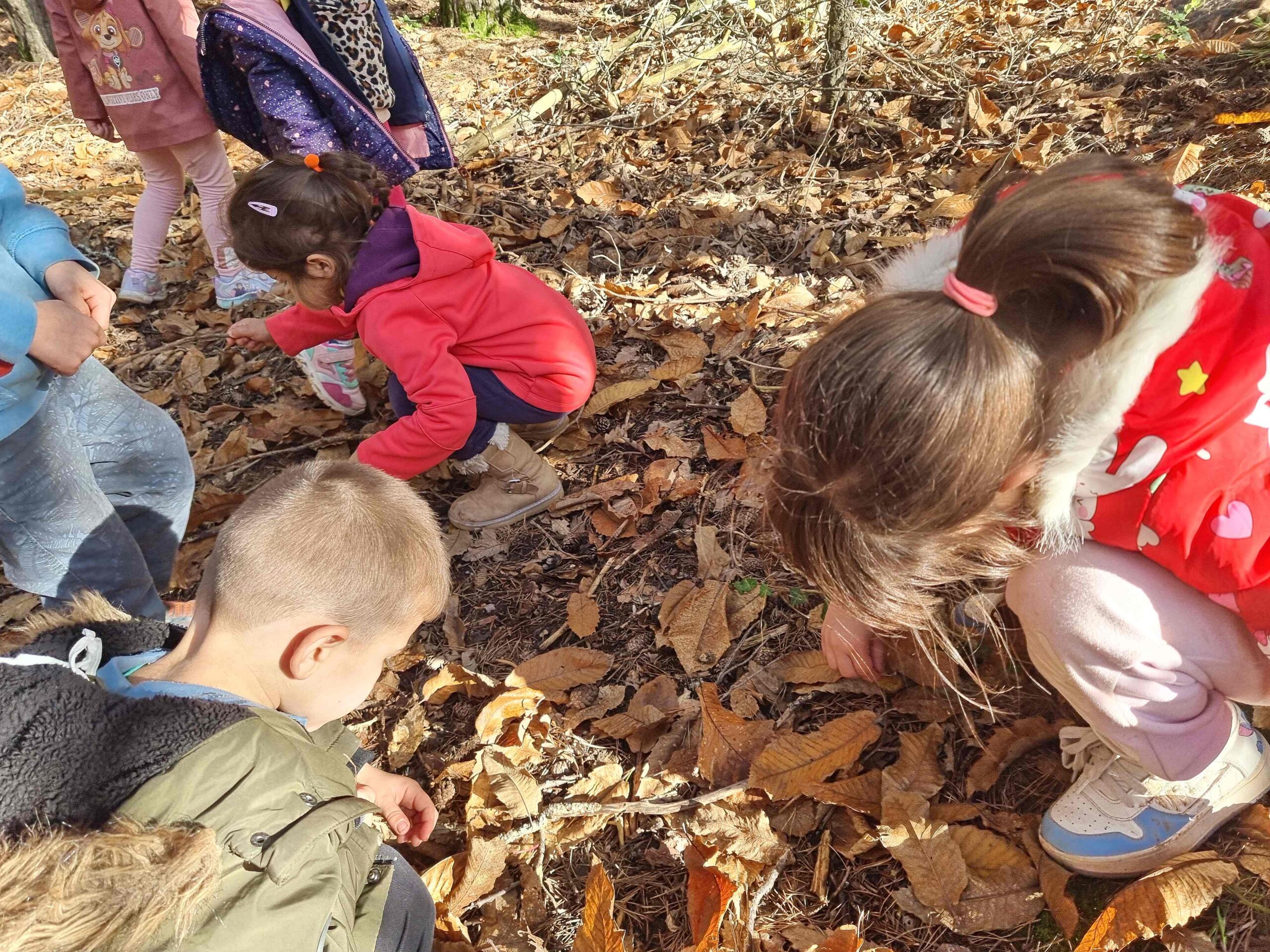 sortida bosc ei ci (17) (Copy)