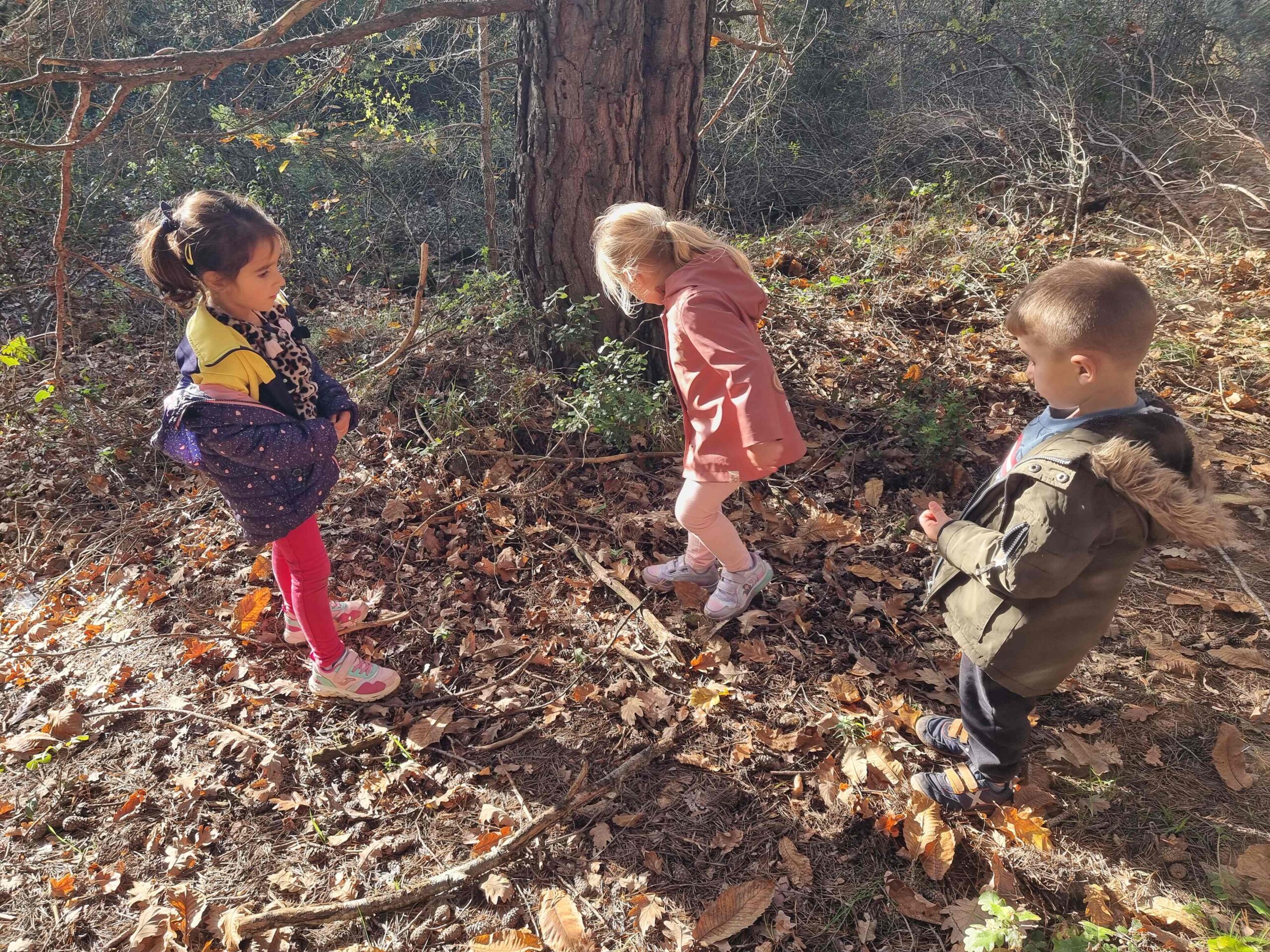 sortida bosc ei ci (19) (Copy)