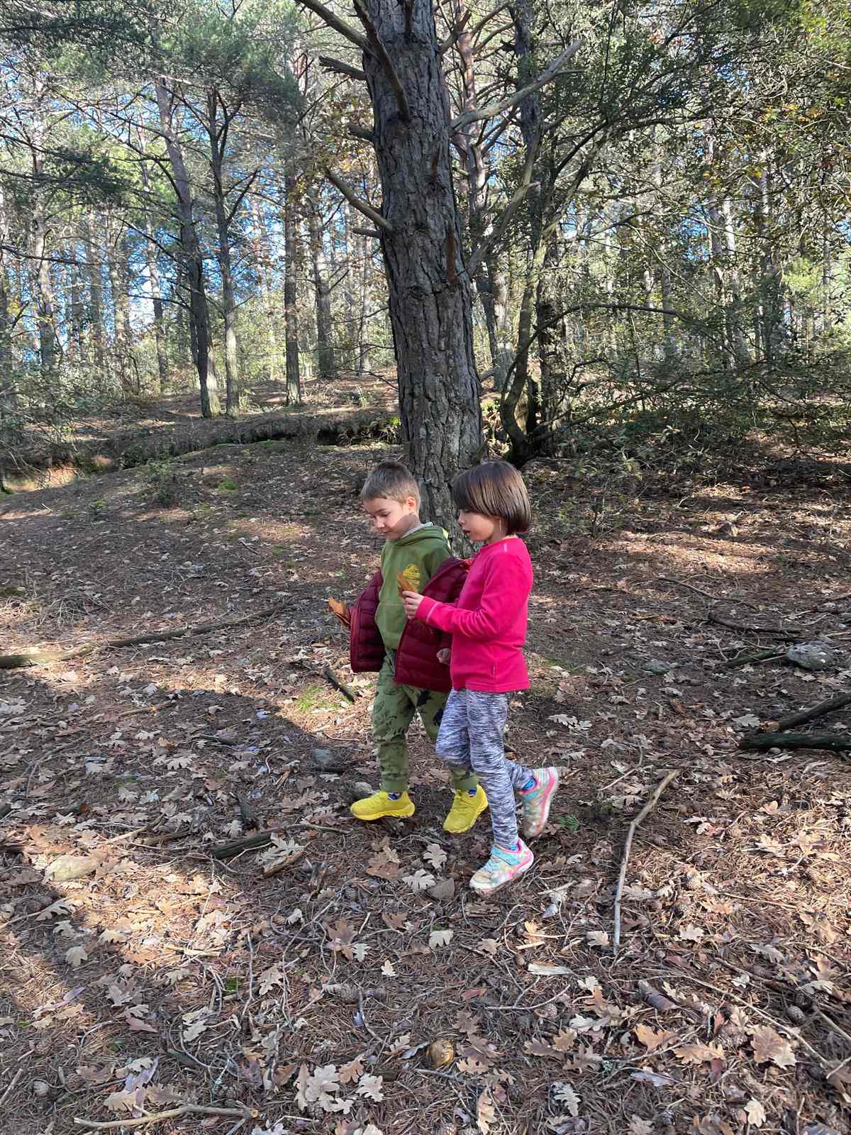 sortida bosc ei ci (2) (Copy)