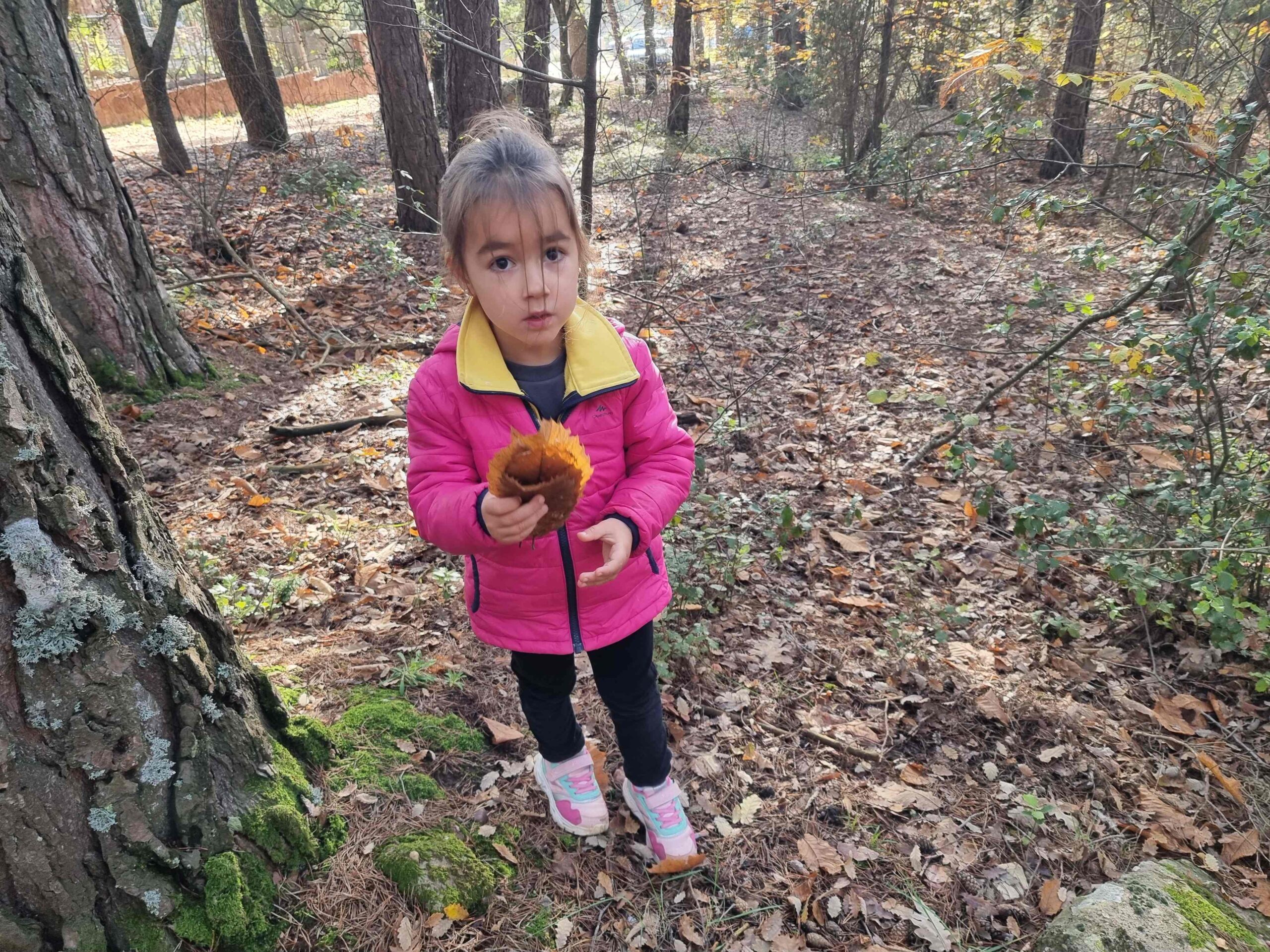 sortida bosc ei ci (21) (Copy)