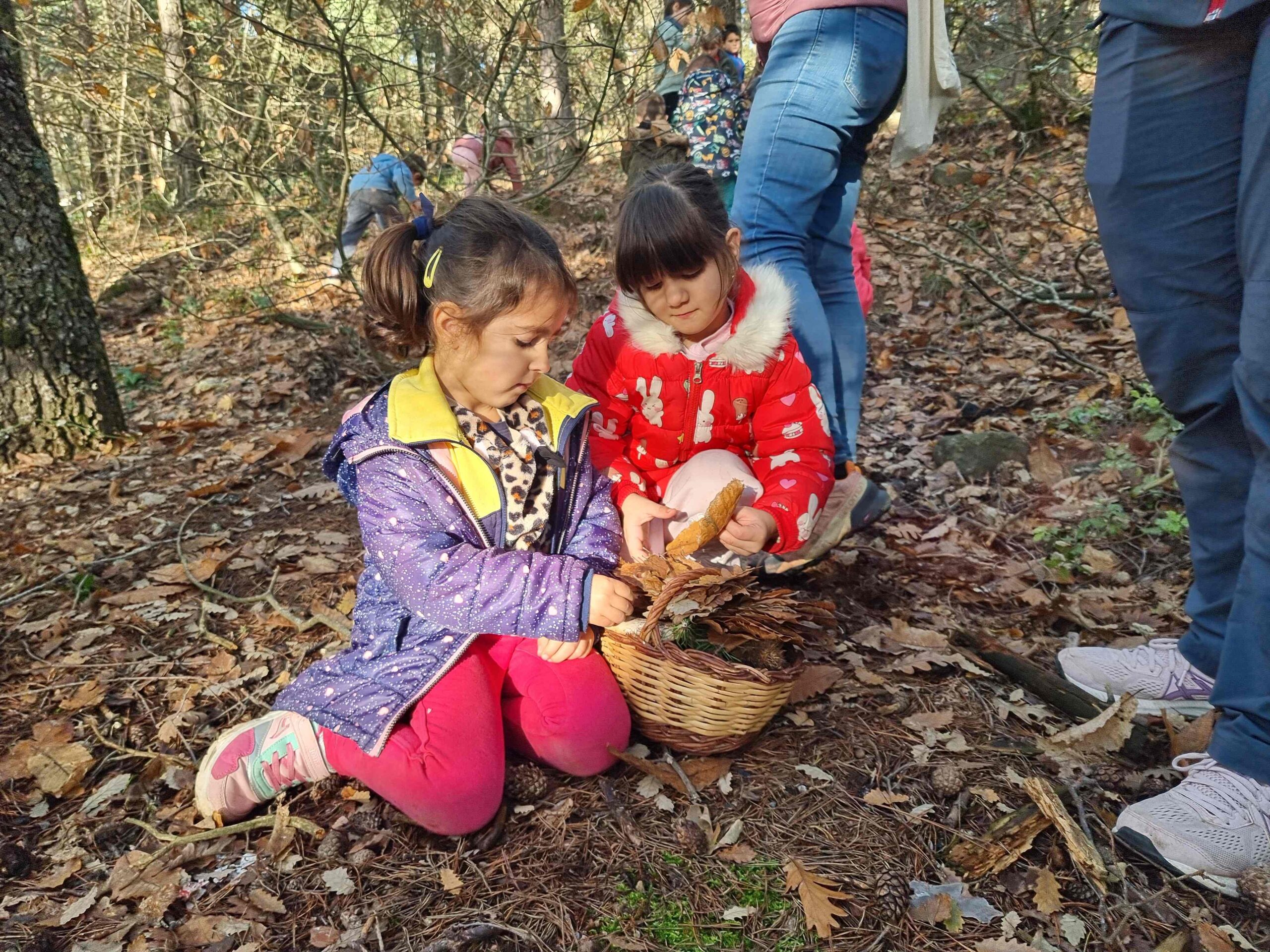 sortida bosc ei ci (25) (Copy)