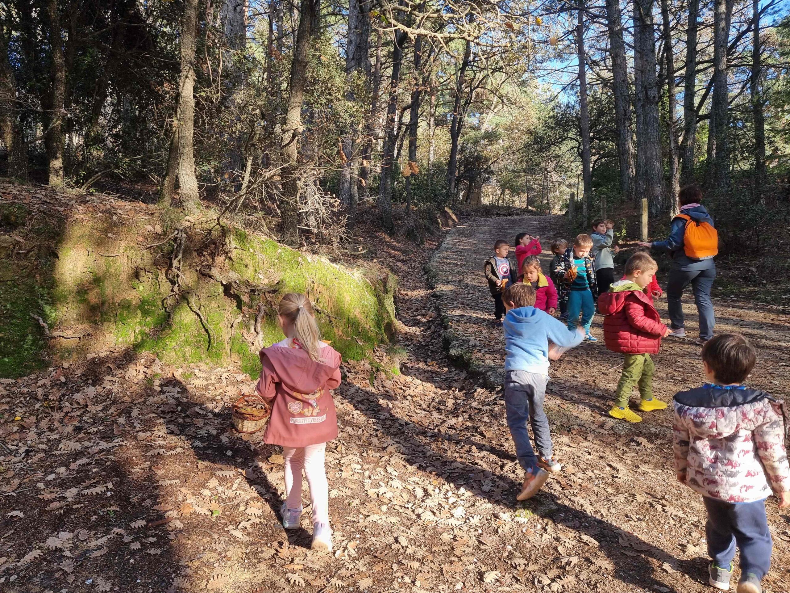 sortida bosc ei ci (26) (Copy)