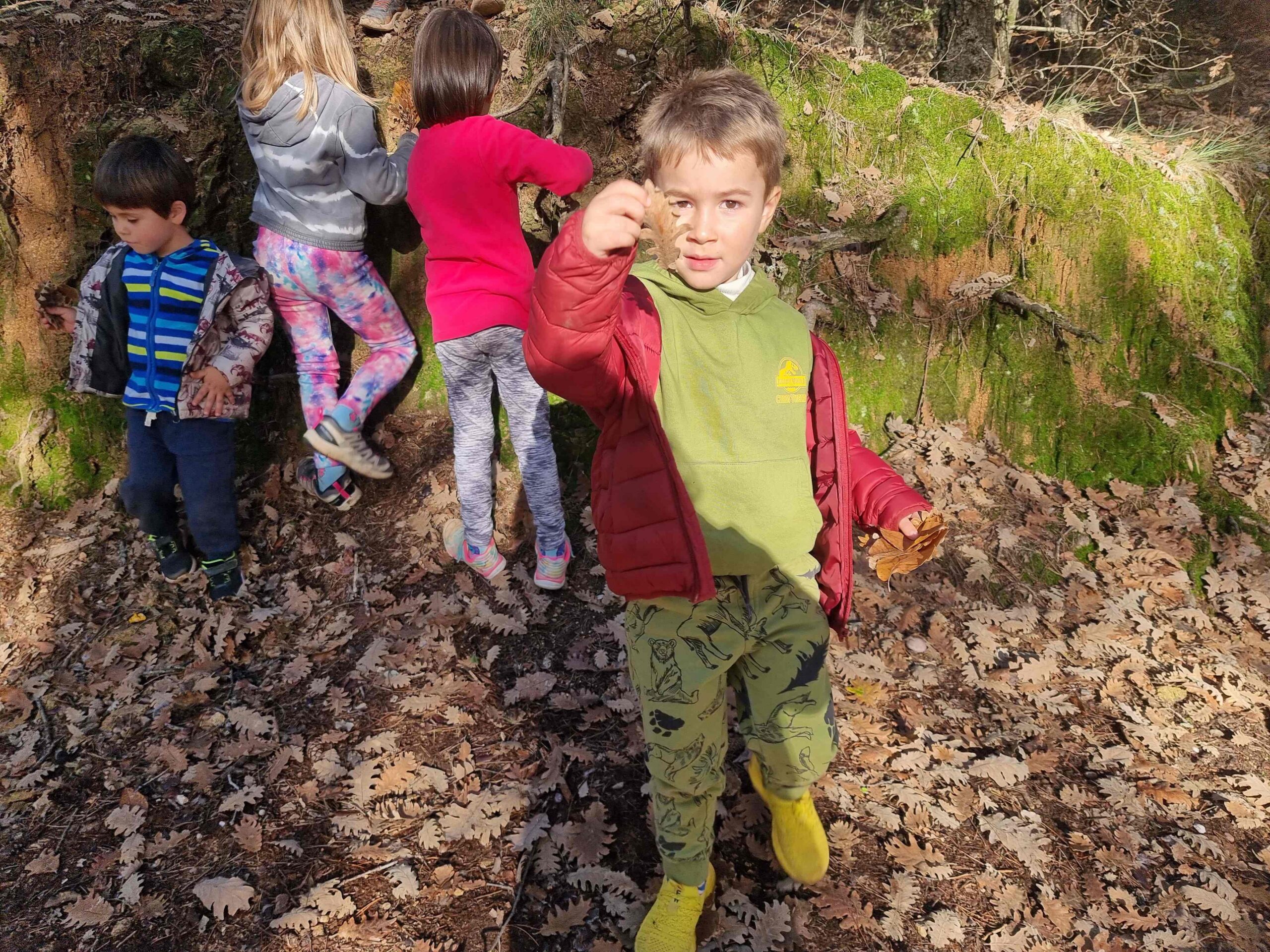 sortida bosc ei ci (27) (Copy)