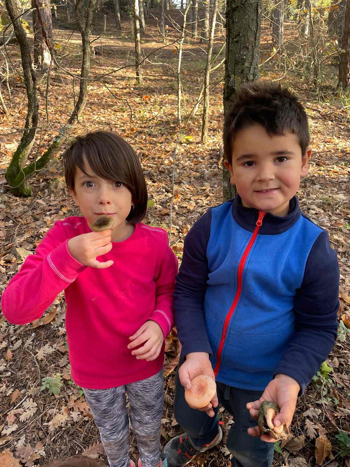 sortida bosc ei ci (3) (Copy)