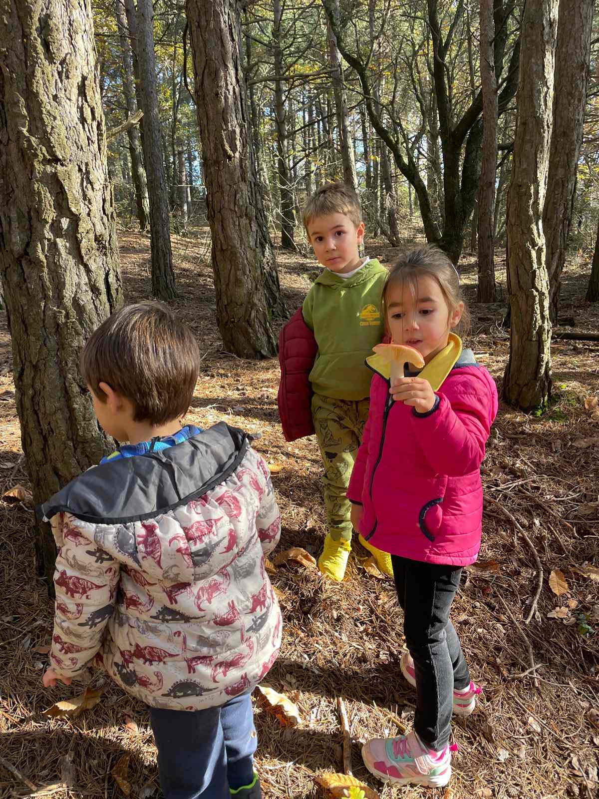 sortida bosc ei ci (30) (Copy)