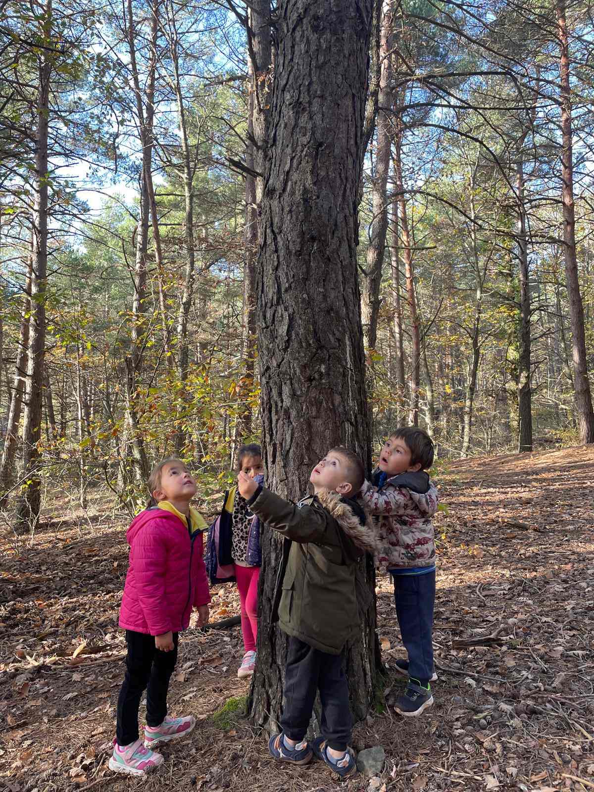 sortida bosc ei ci (4) (Copy)