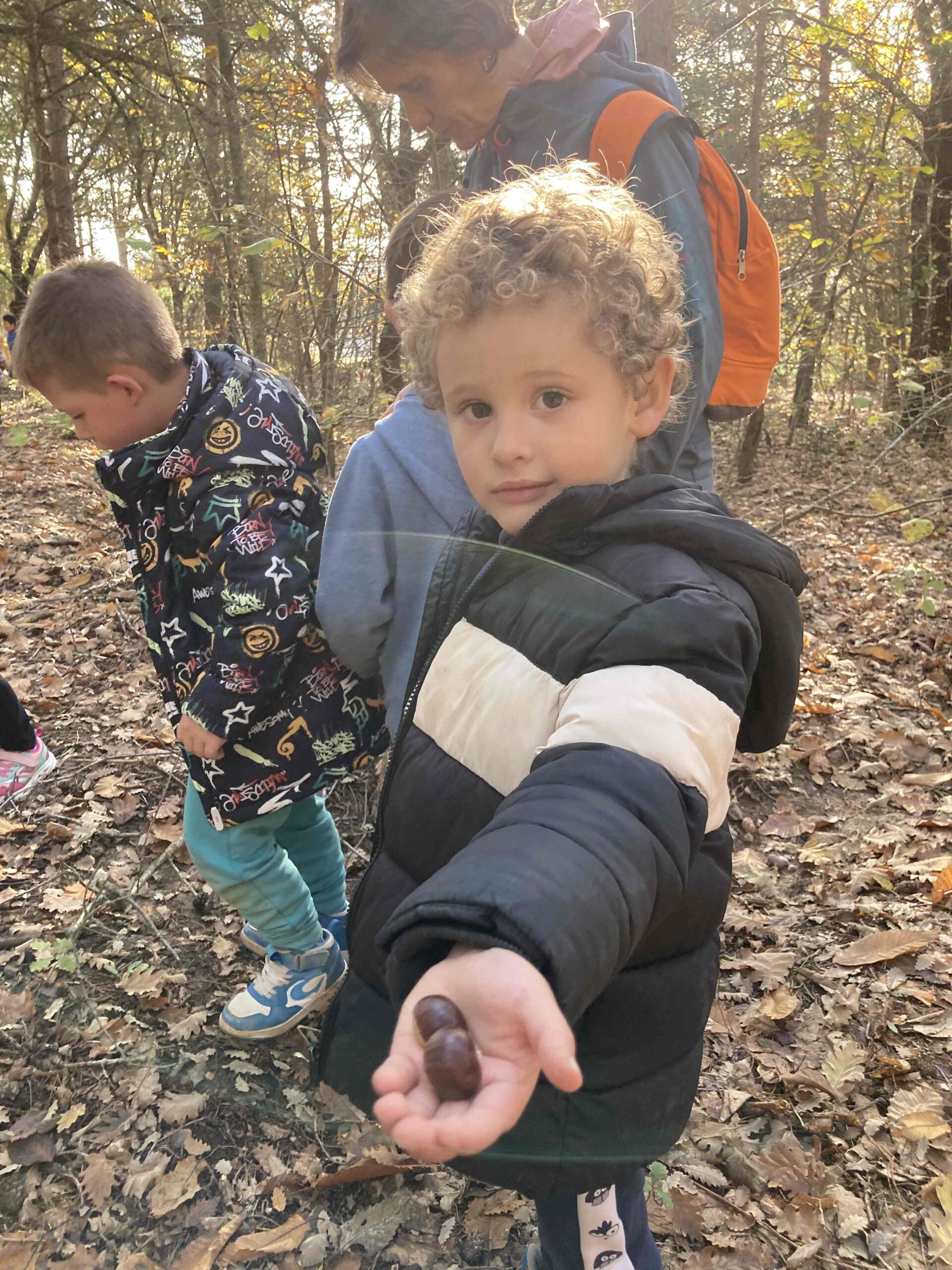 sortida bosc ei ci (8) (Copy)