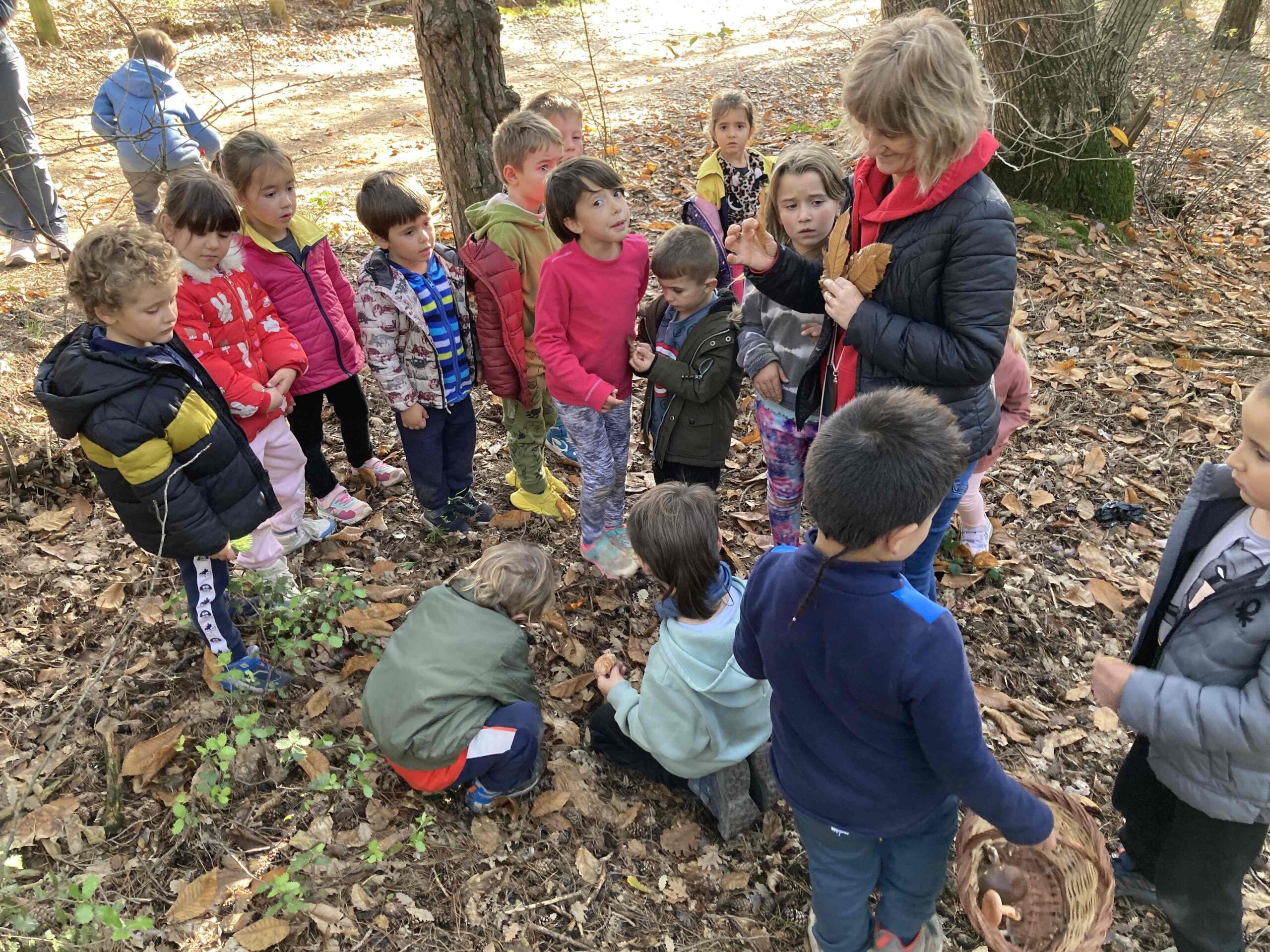 sortida bosc ei ci (9) (Copy)