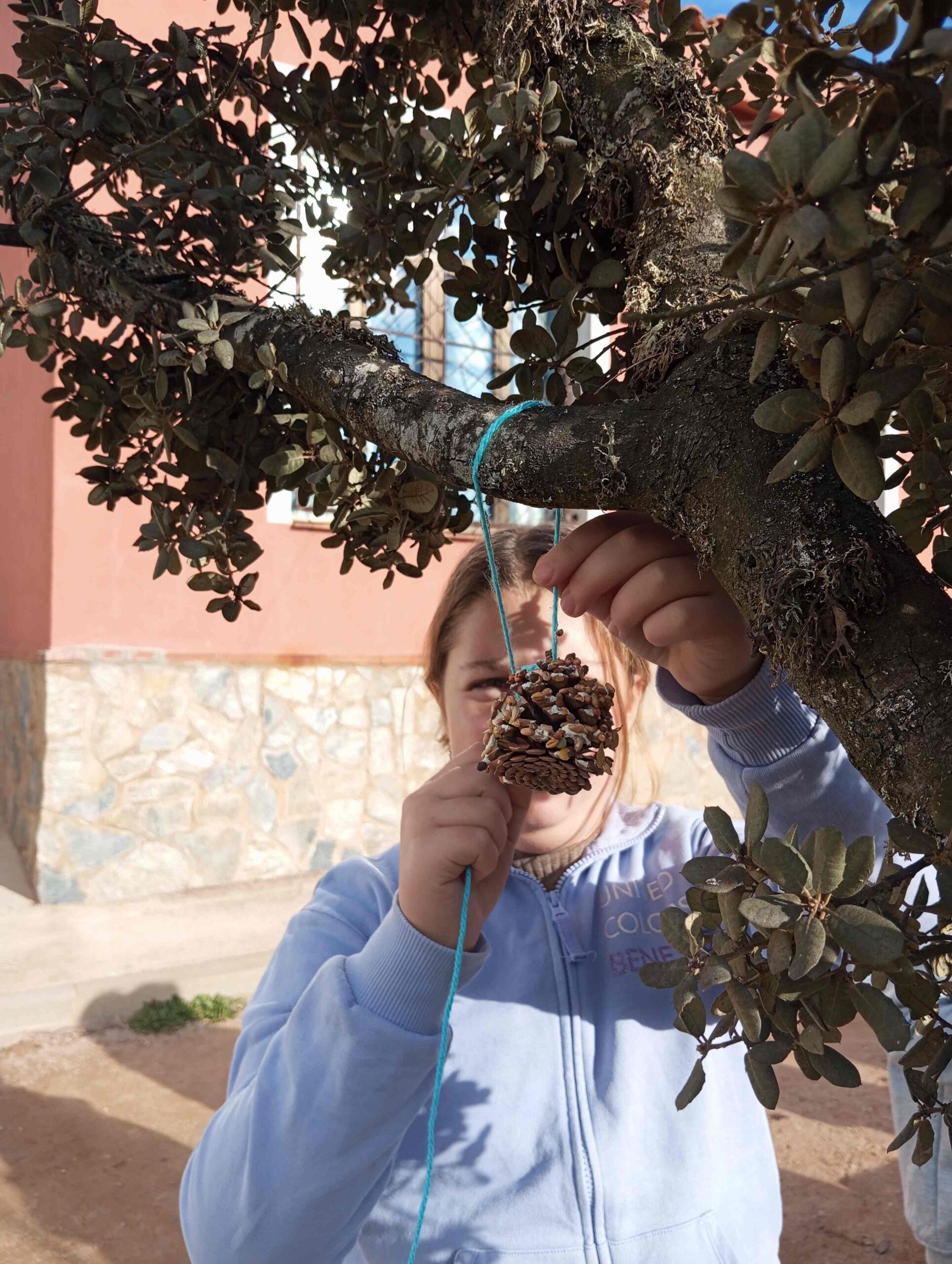 calendari advent menjadores ocells (1) (Copy)