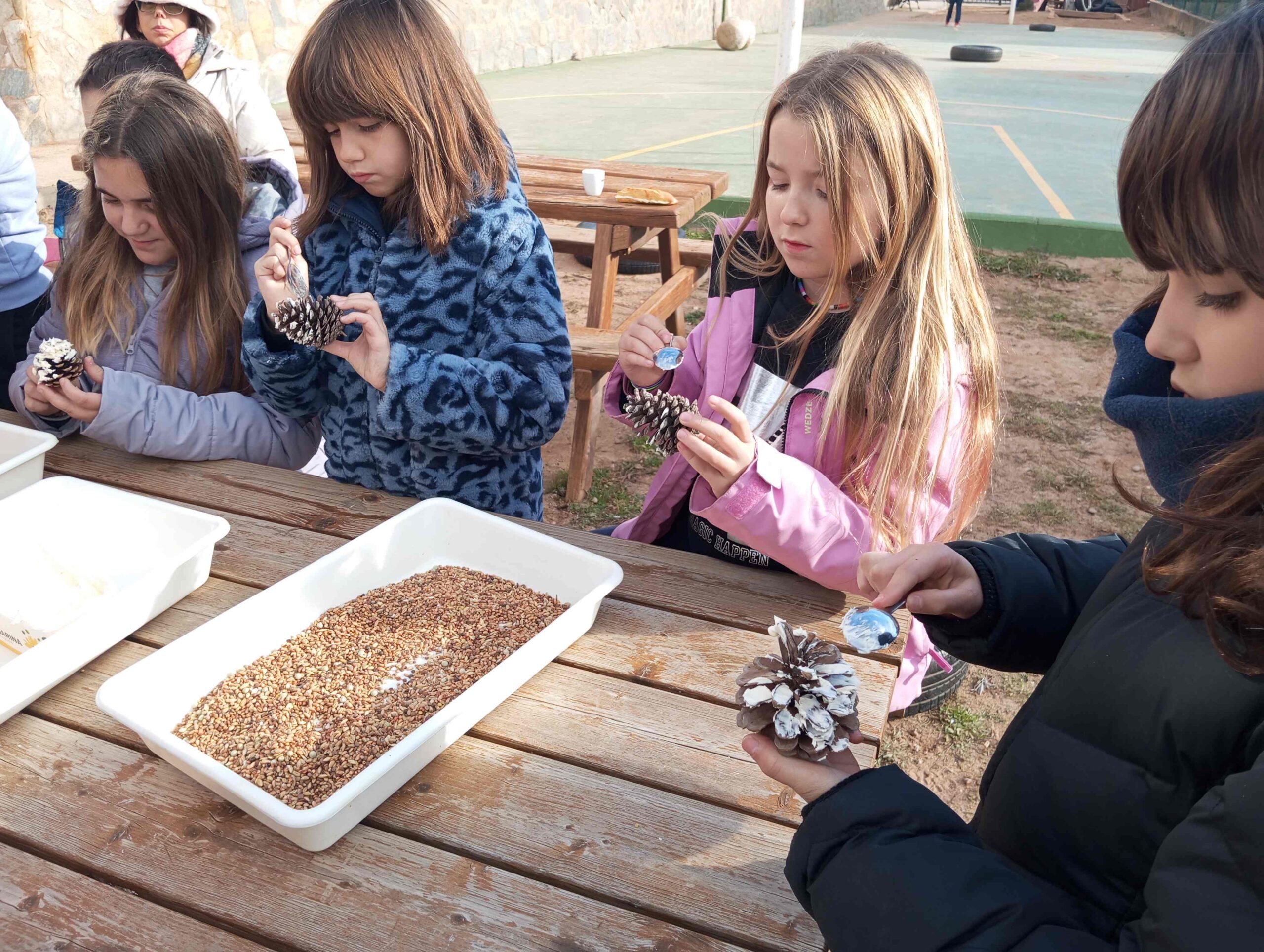 calendari advent menjadores ocells (2) (Copy)