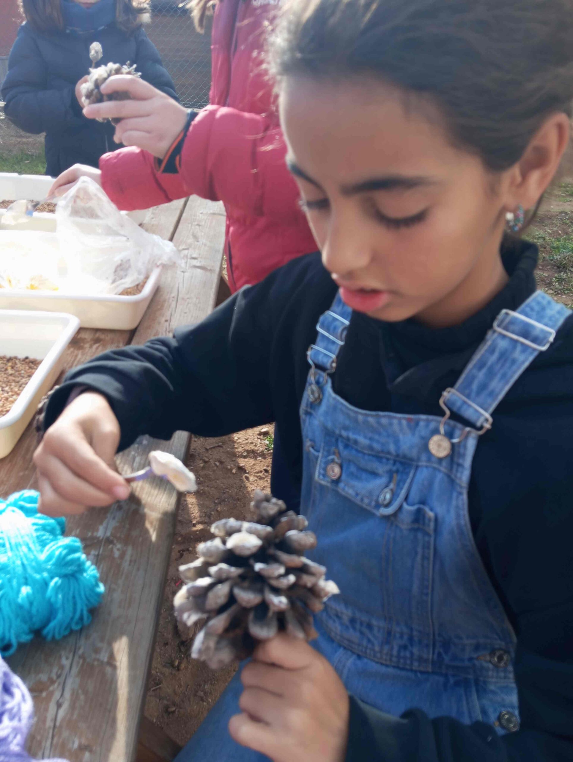 calendari advent menjadores ocells (3) (Copy)