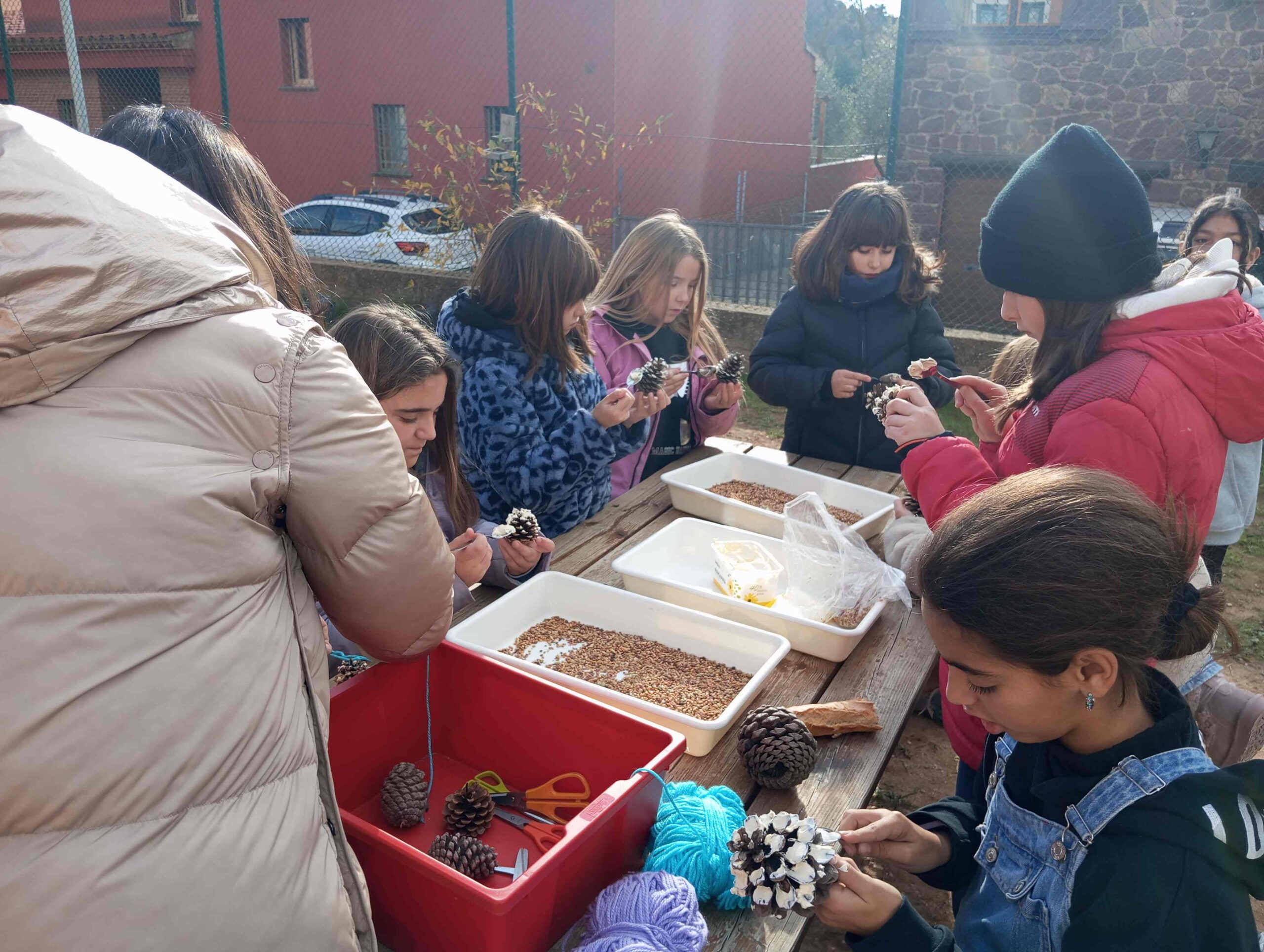 calendari advent menjadores ocells (4) (Copy)