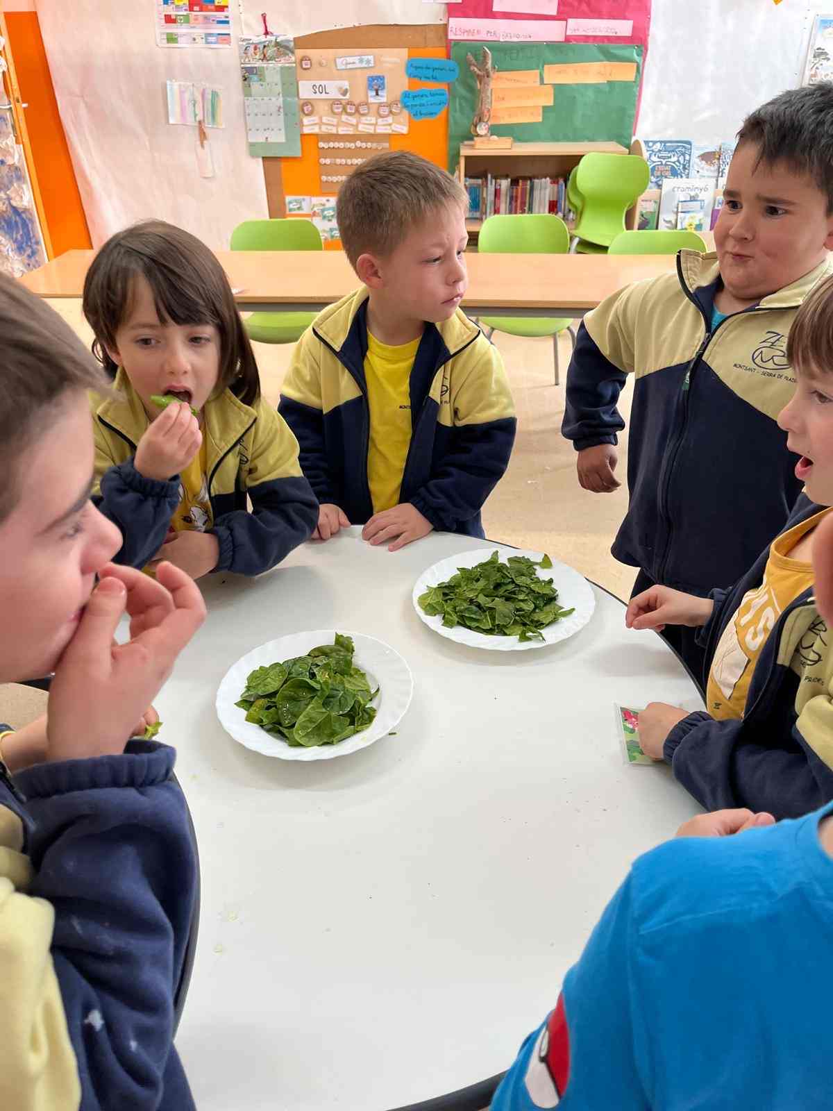 espinacs hort (1) (Copy)