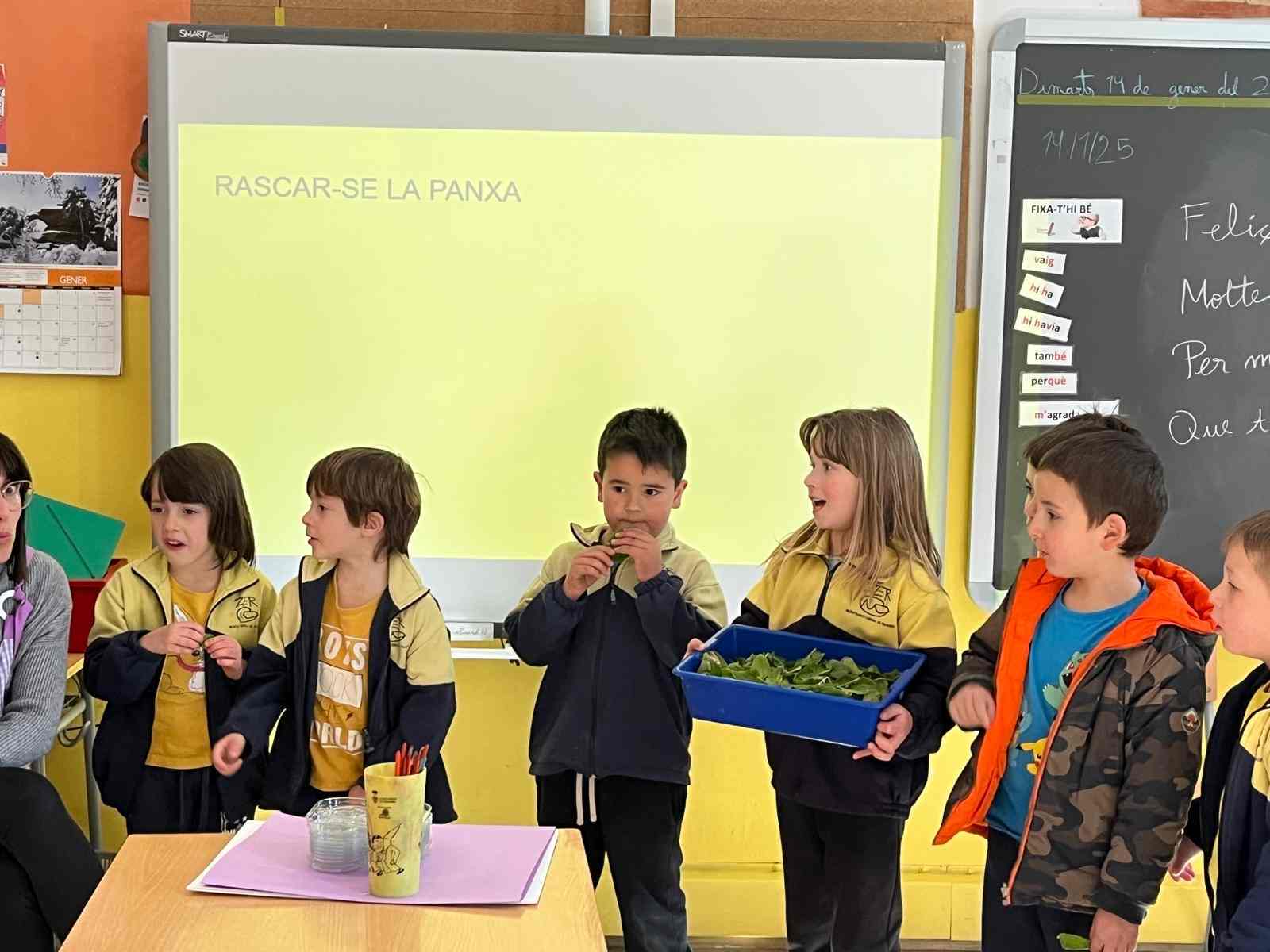 espinacs hort (10) (Copy)