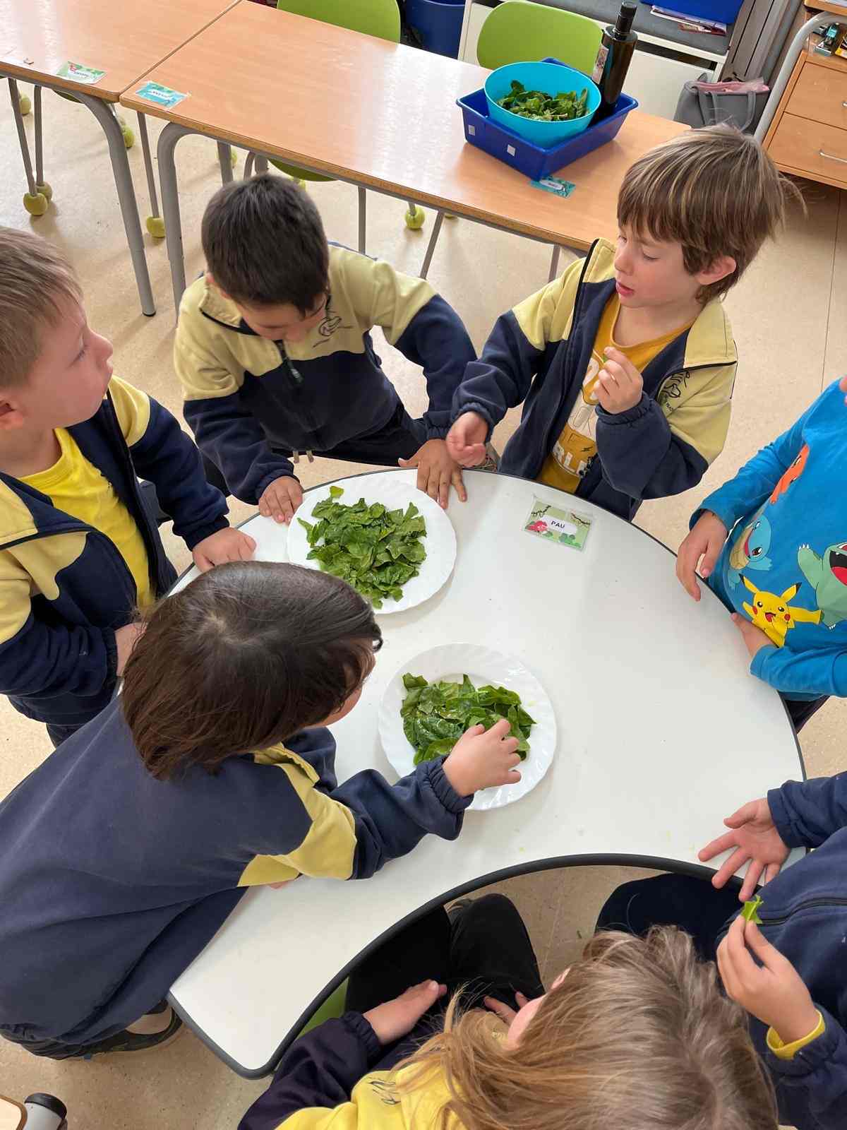 espinacs hort (3) (Copy)