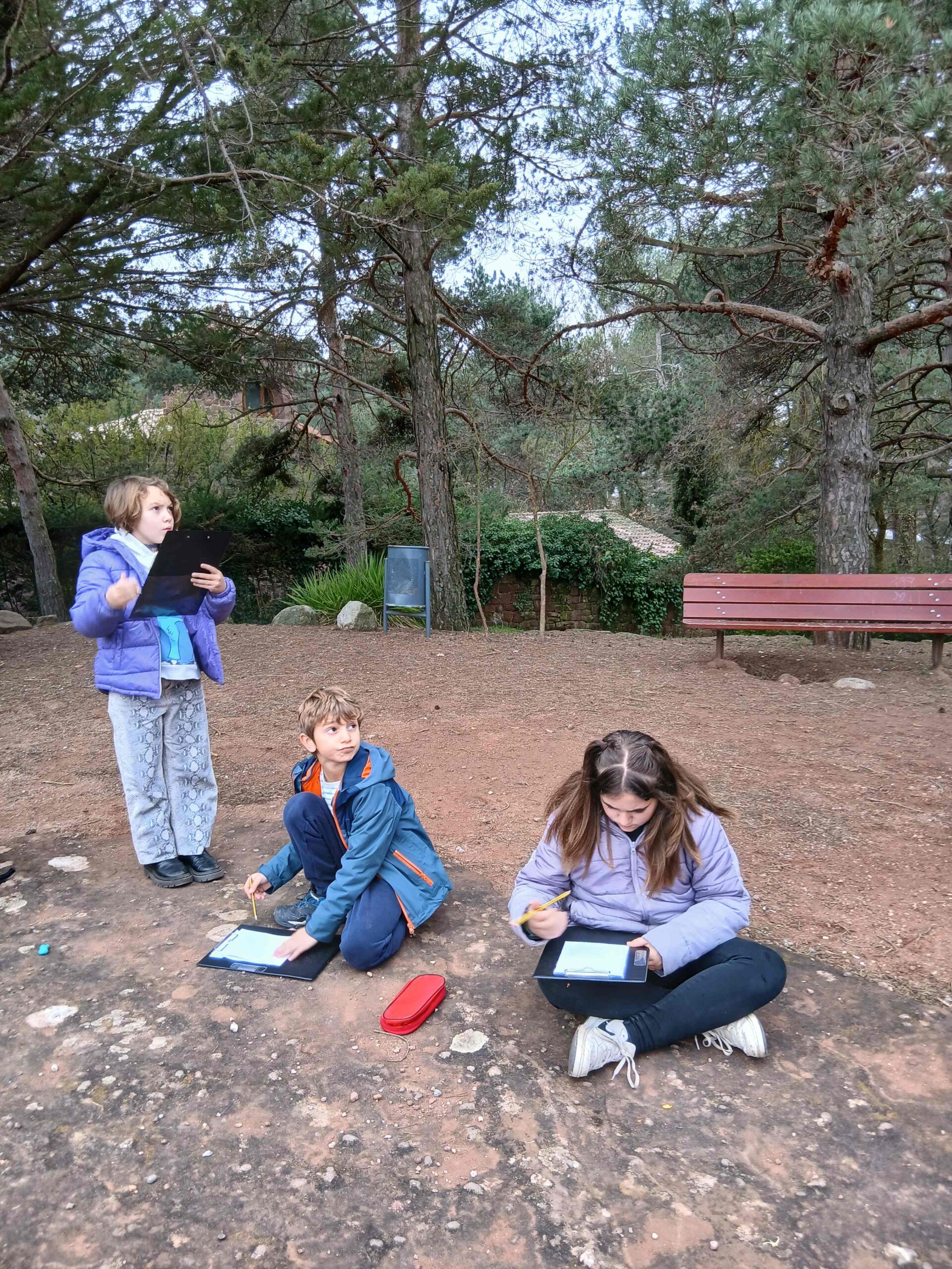 pedra vermella (12) (Copy)