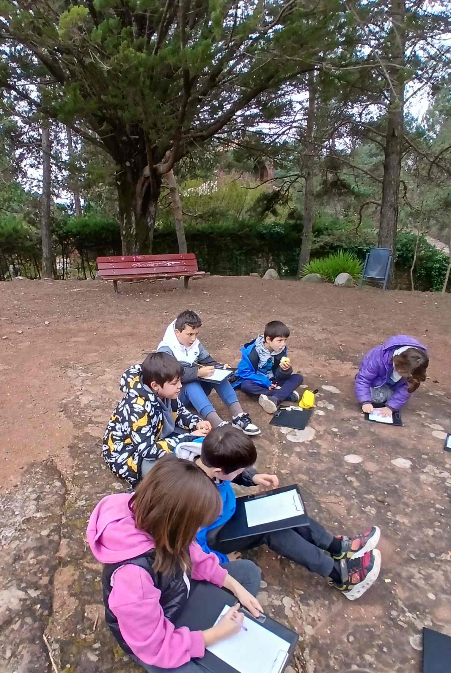 pedra vermella (14) (Copy)