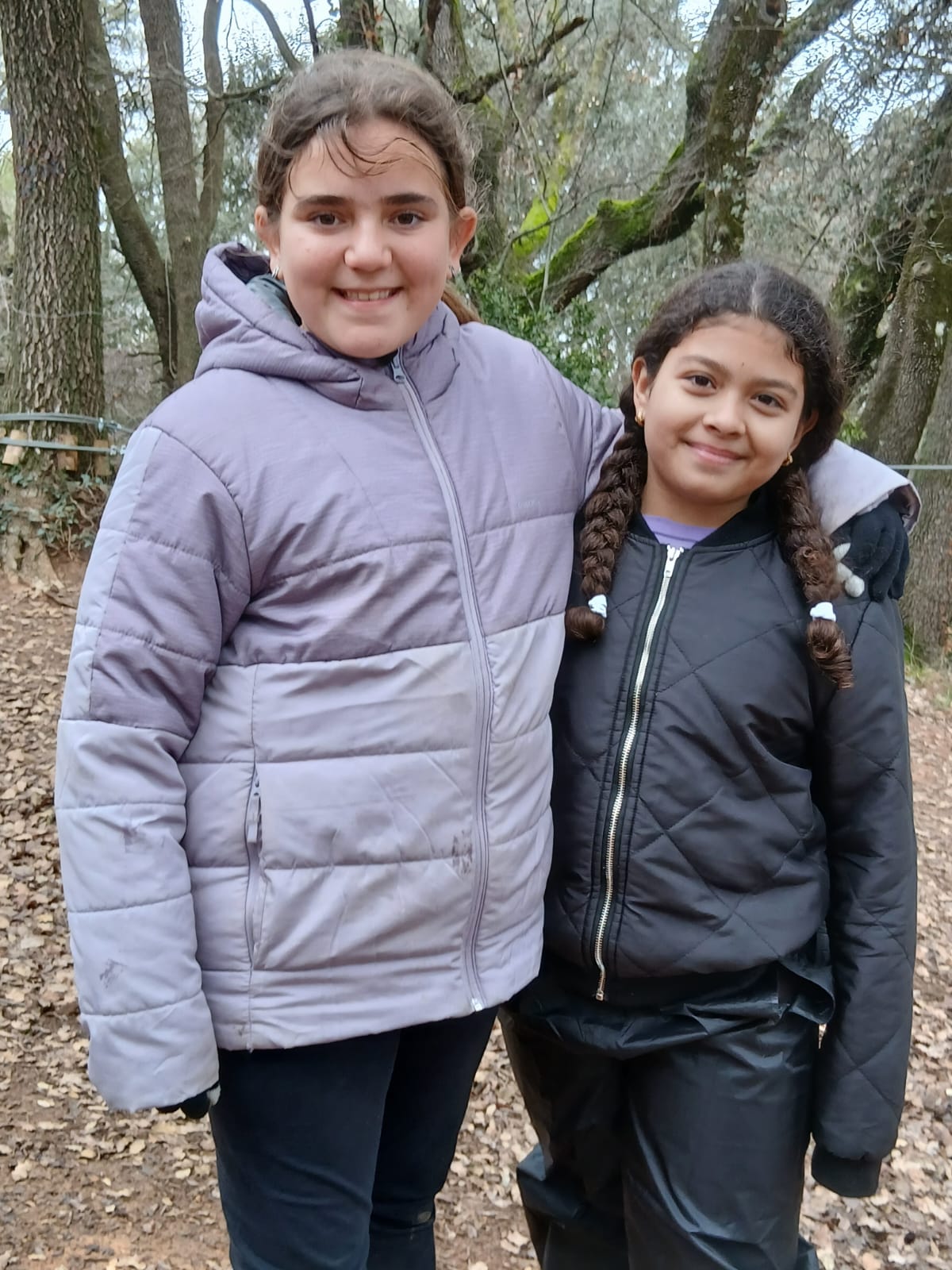 b3353ddc-27c8-4081-8c50-30a3bfdcb787