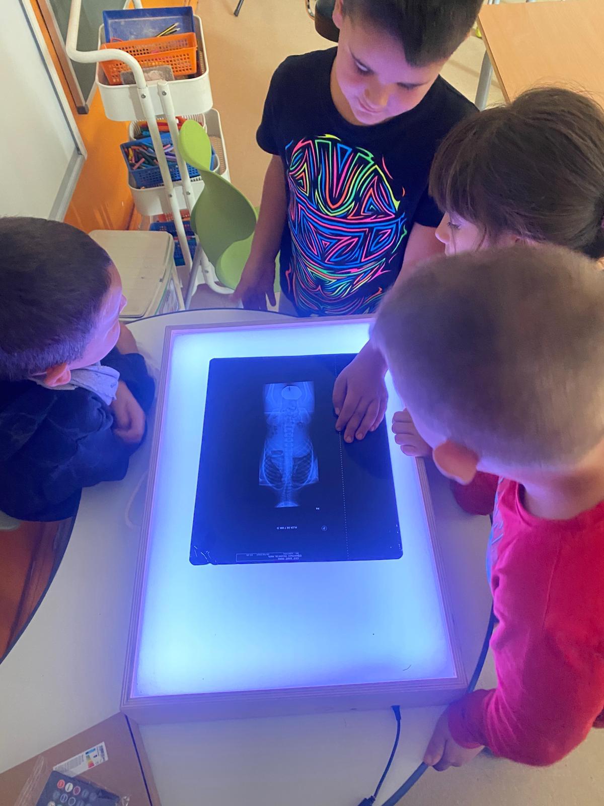 Imatge de WhatsApp 2025-10-16 a les 14.50.31_94e186a4