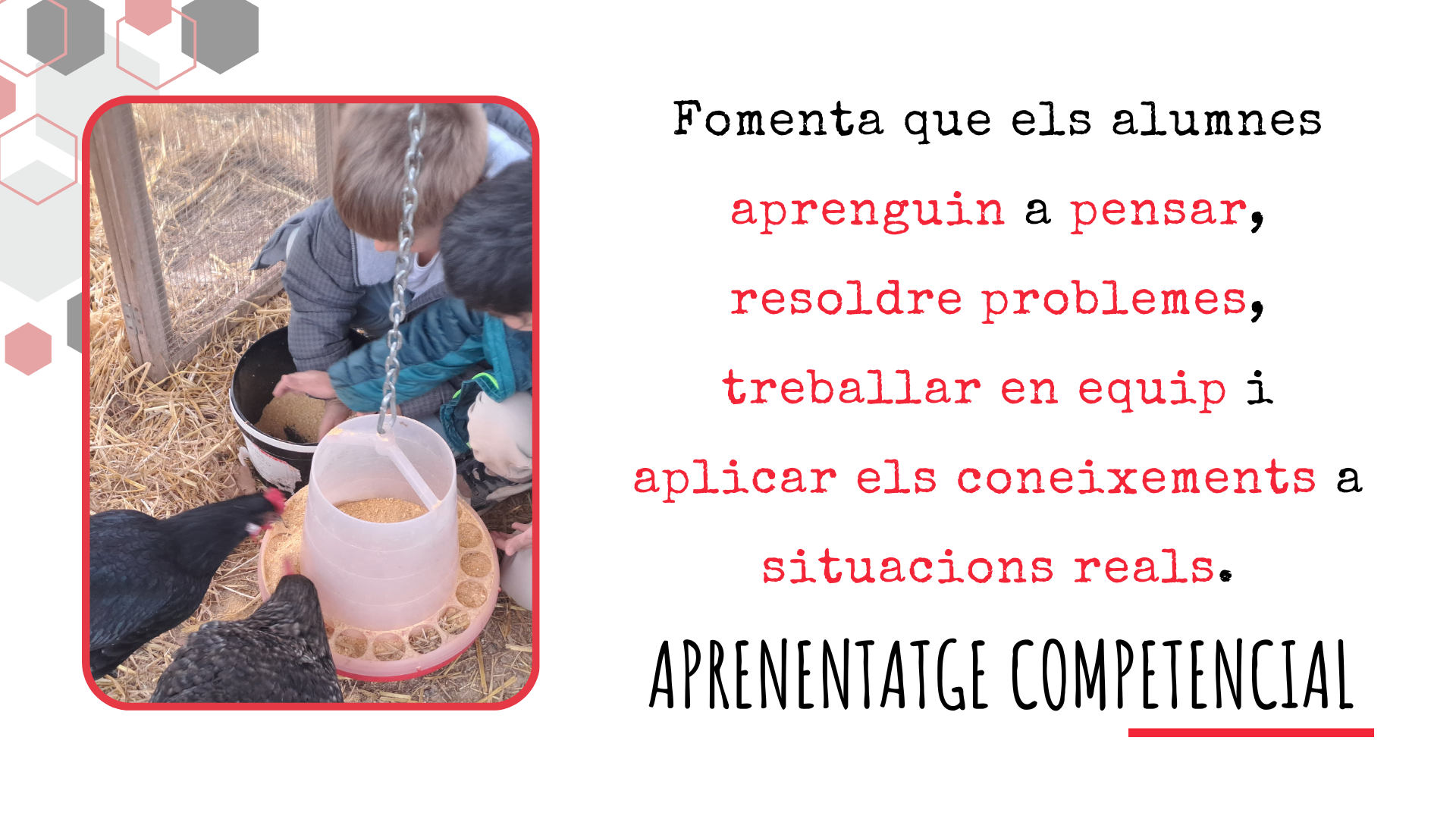 FET (5)