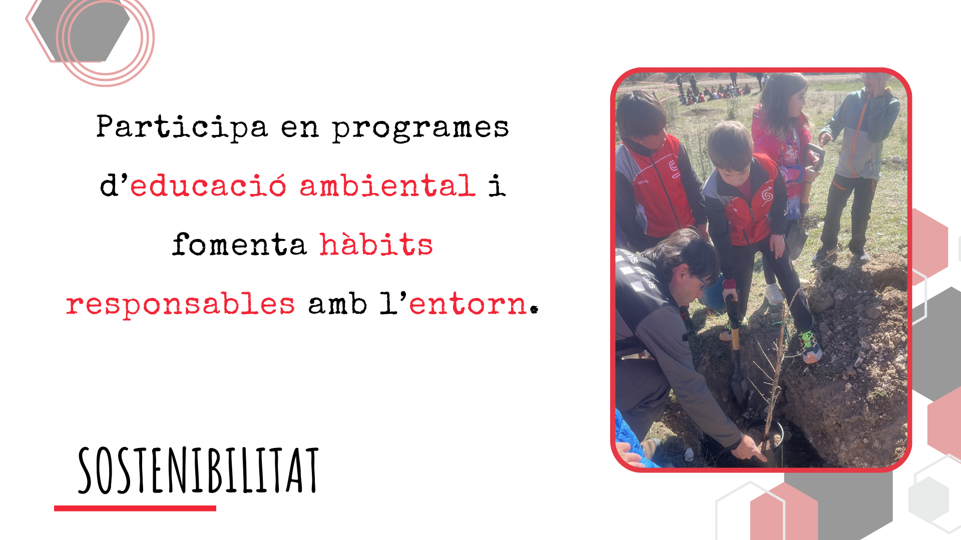 FET (9)