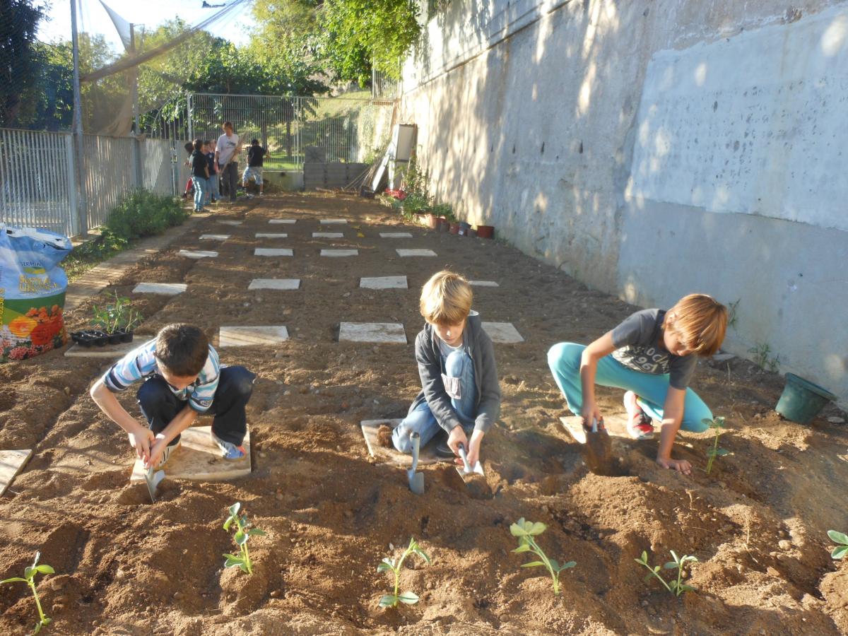 2014_10_24-hort-3rb-049