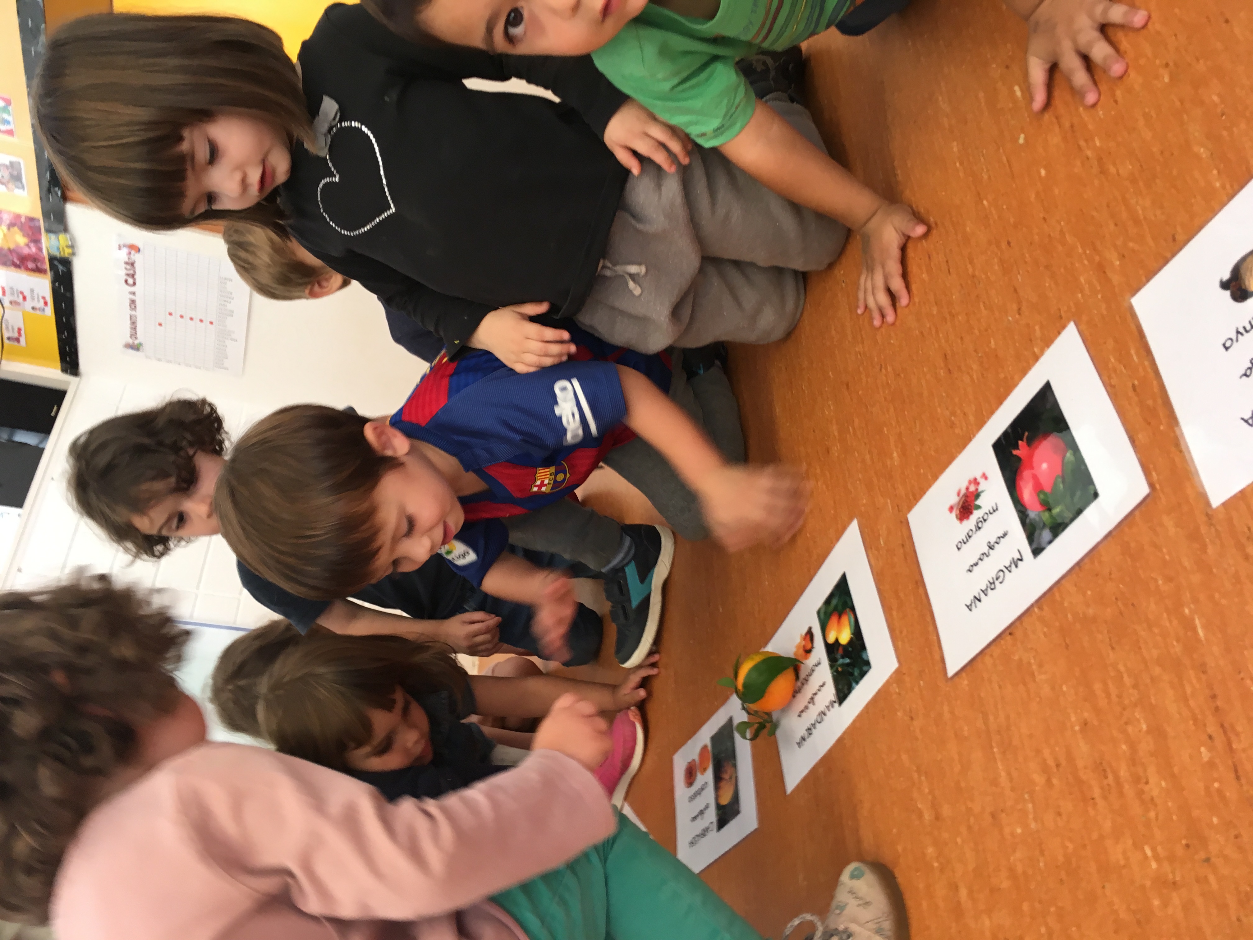 20171017_133148308_iOS