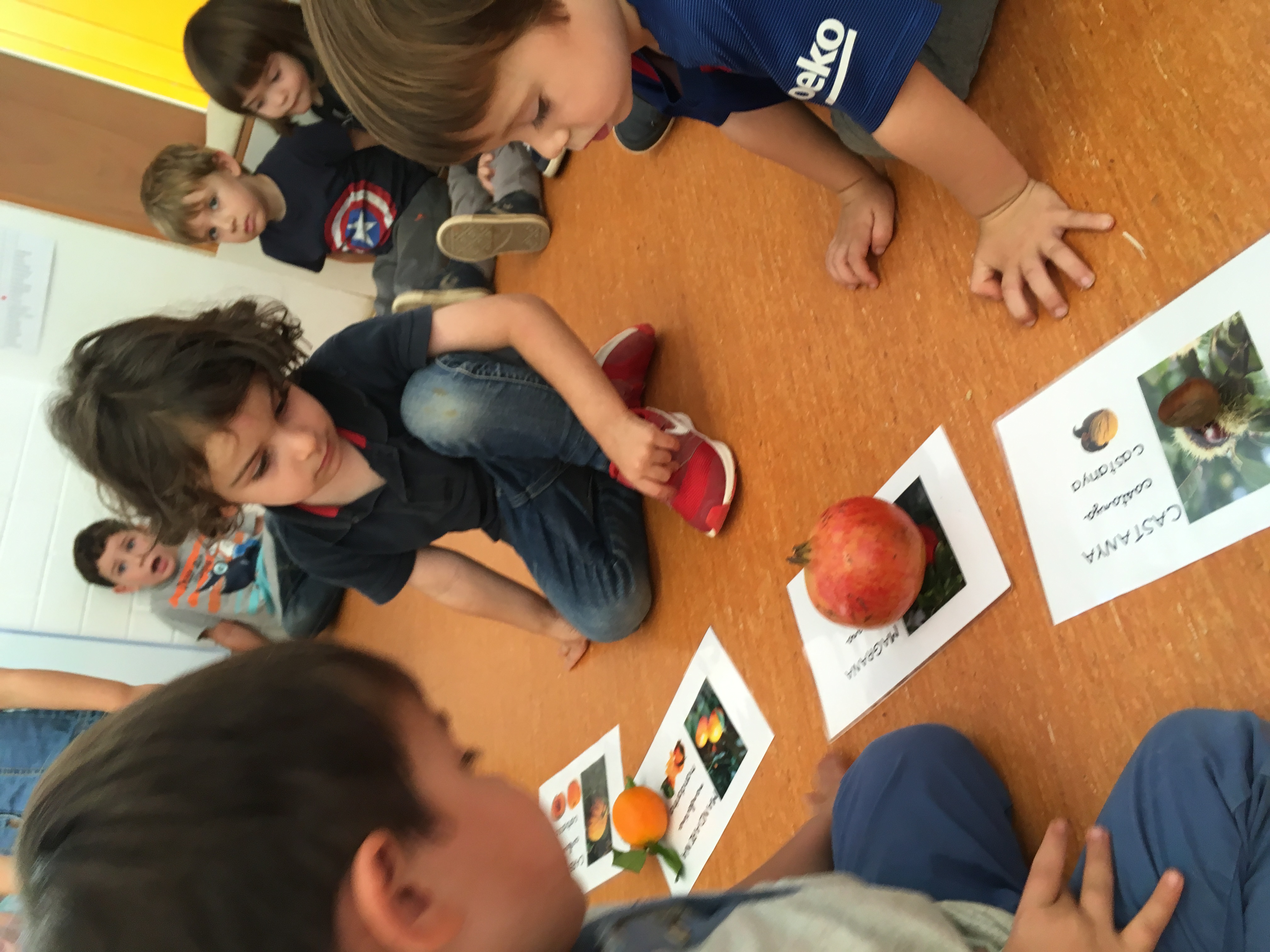 20171017_133320900_iOS