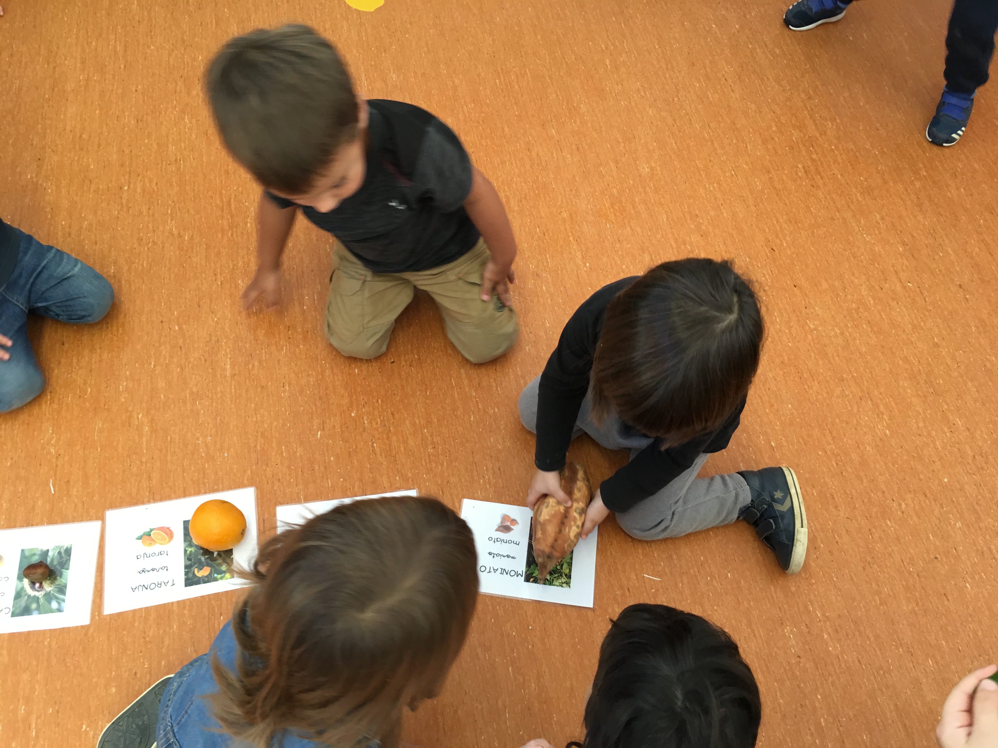 20171017_133442677_iOS