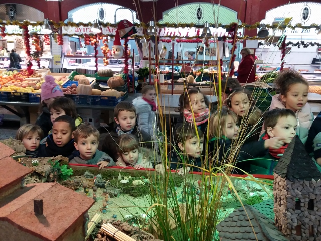 20171220_094533 (640x480)