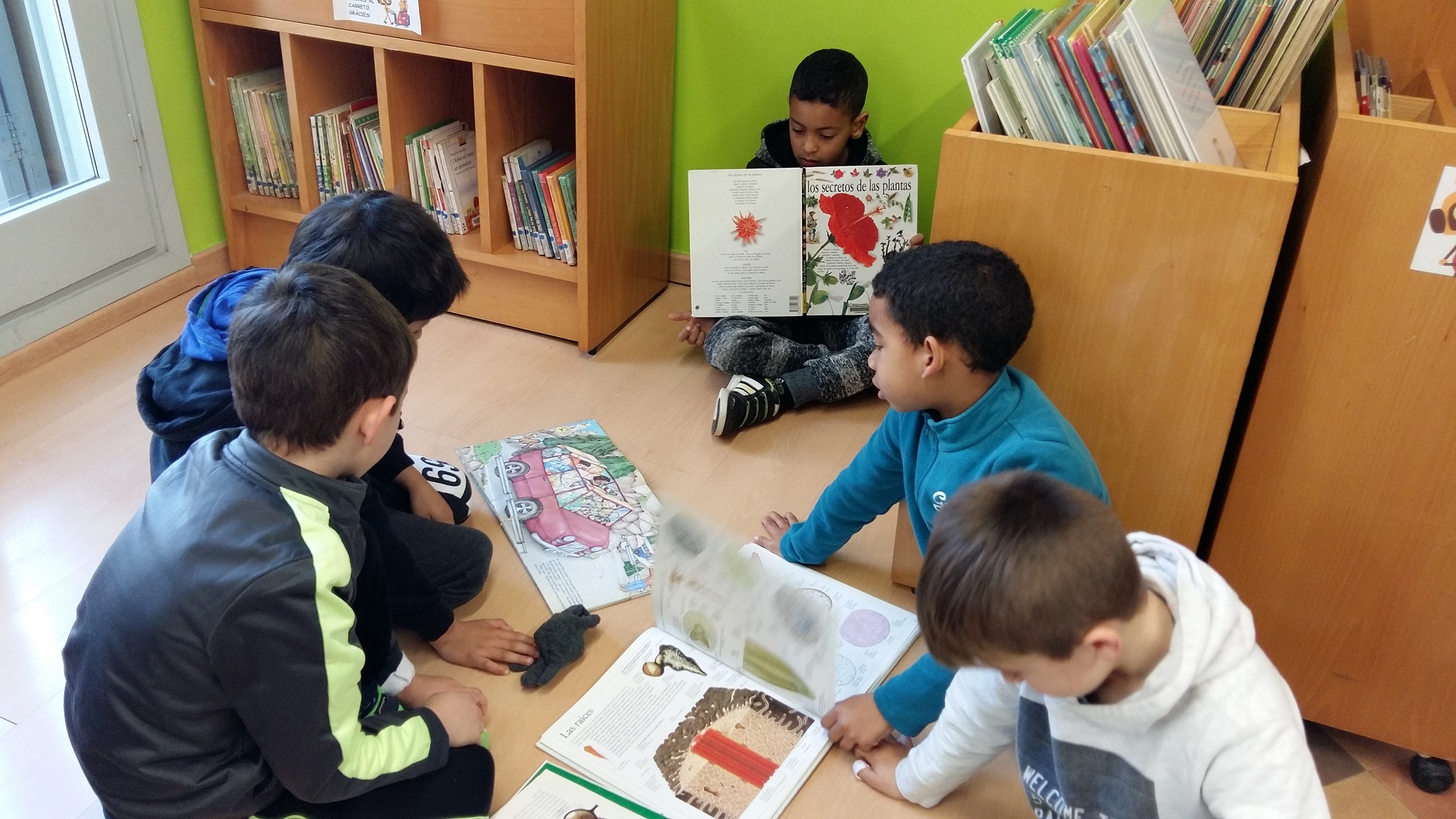 20180215_101552_1518696730551