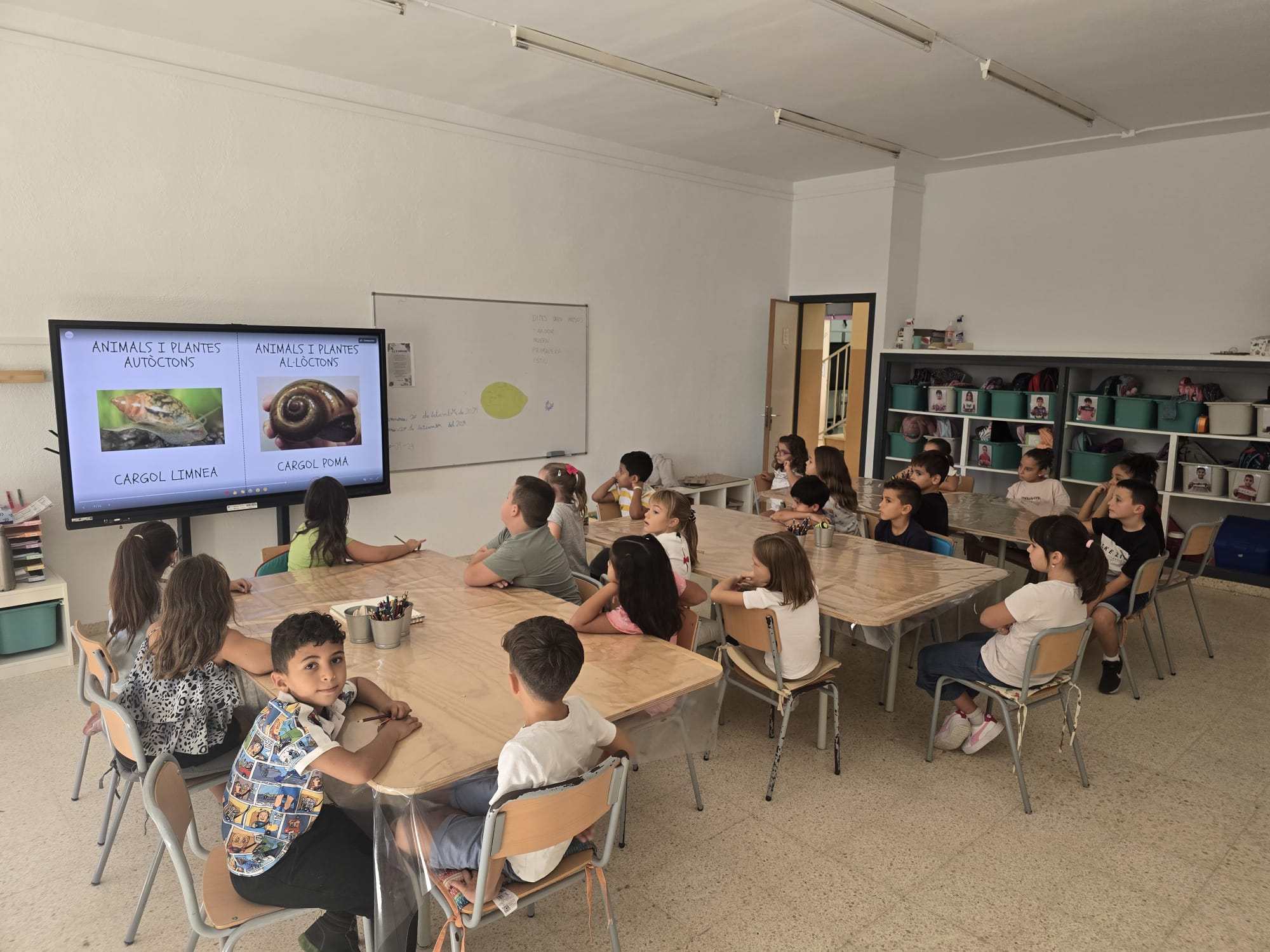 b83fd283-8aeb-422a-88eb-546403145edf