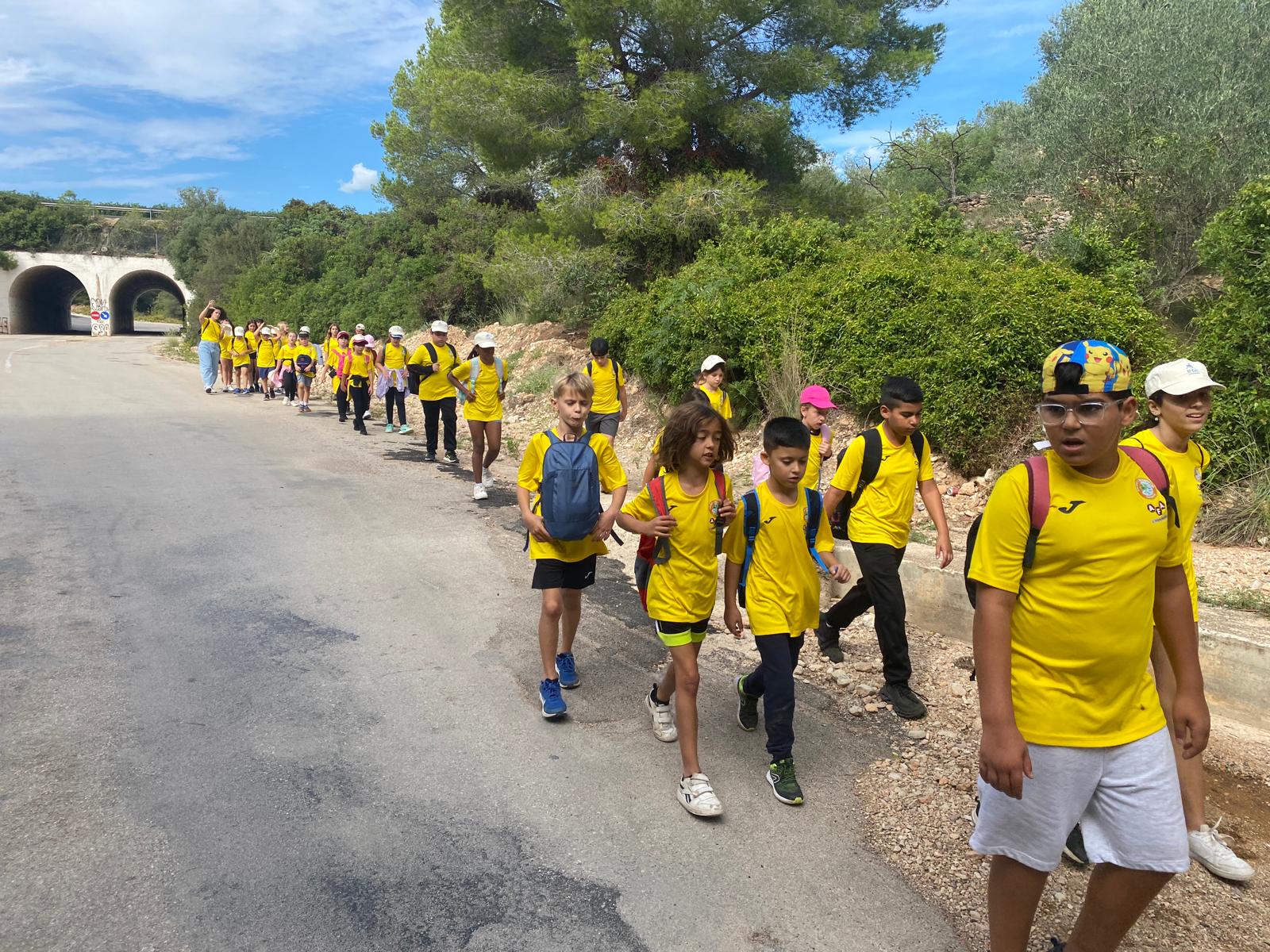 PHOTO-2024-10-11-20-53-04