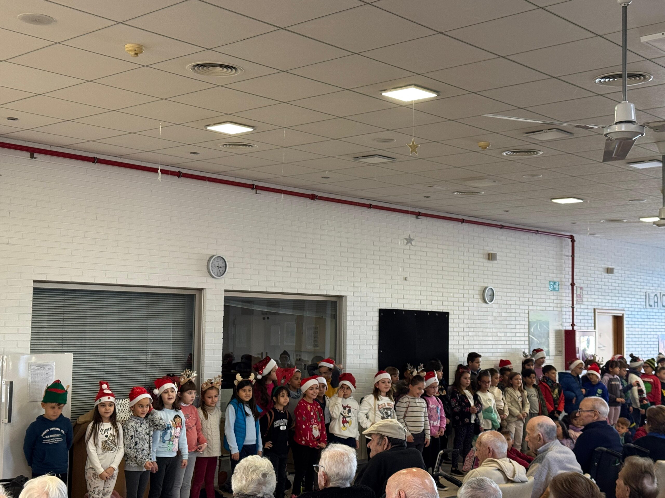 Imatge de WhatsApp 2024-12-16 a les 17.25.59_a8400bb6