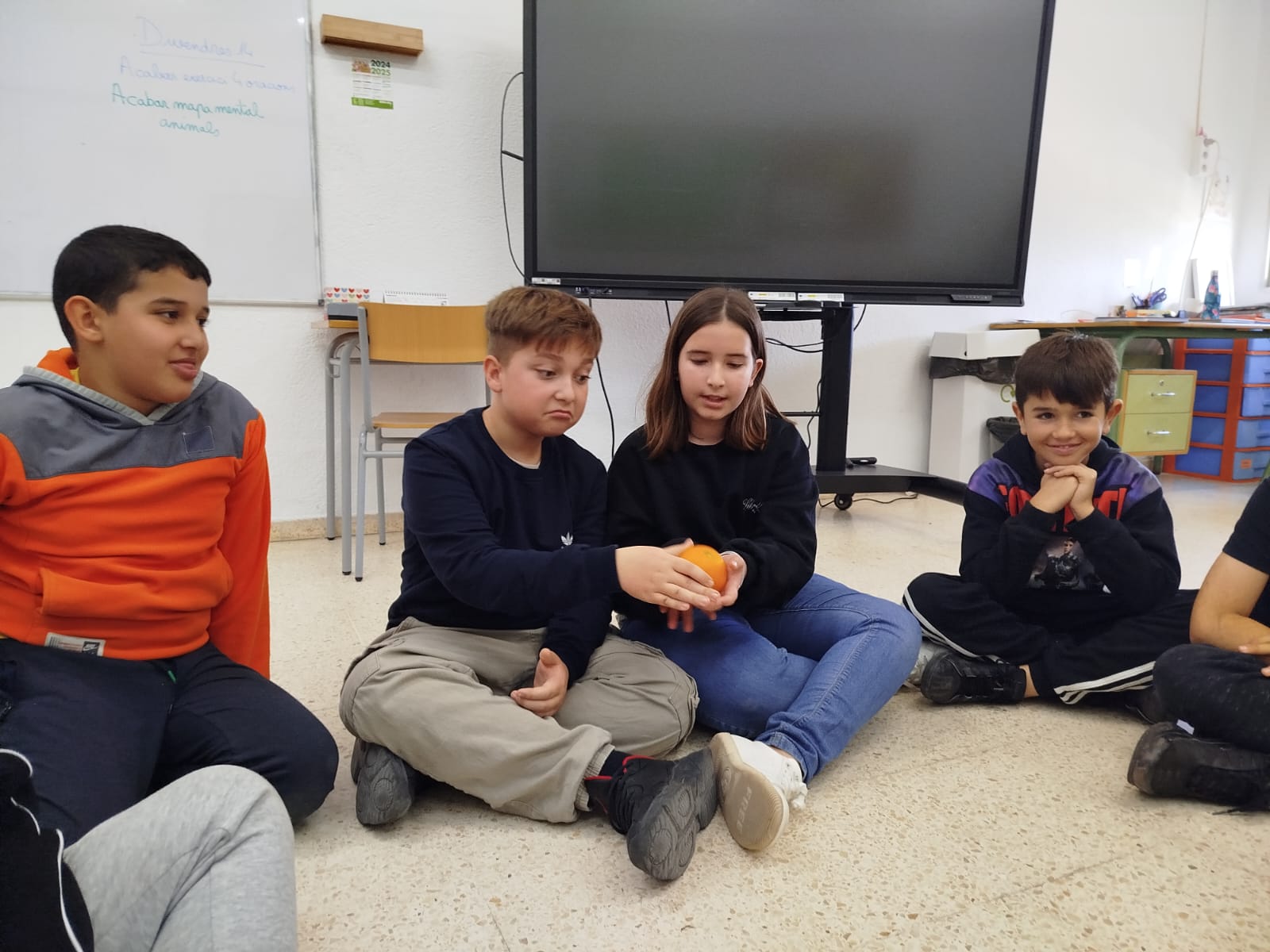 WhatsApp Image 2025-02-12 at 17.11.42 (2)