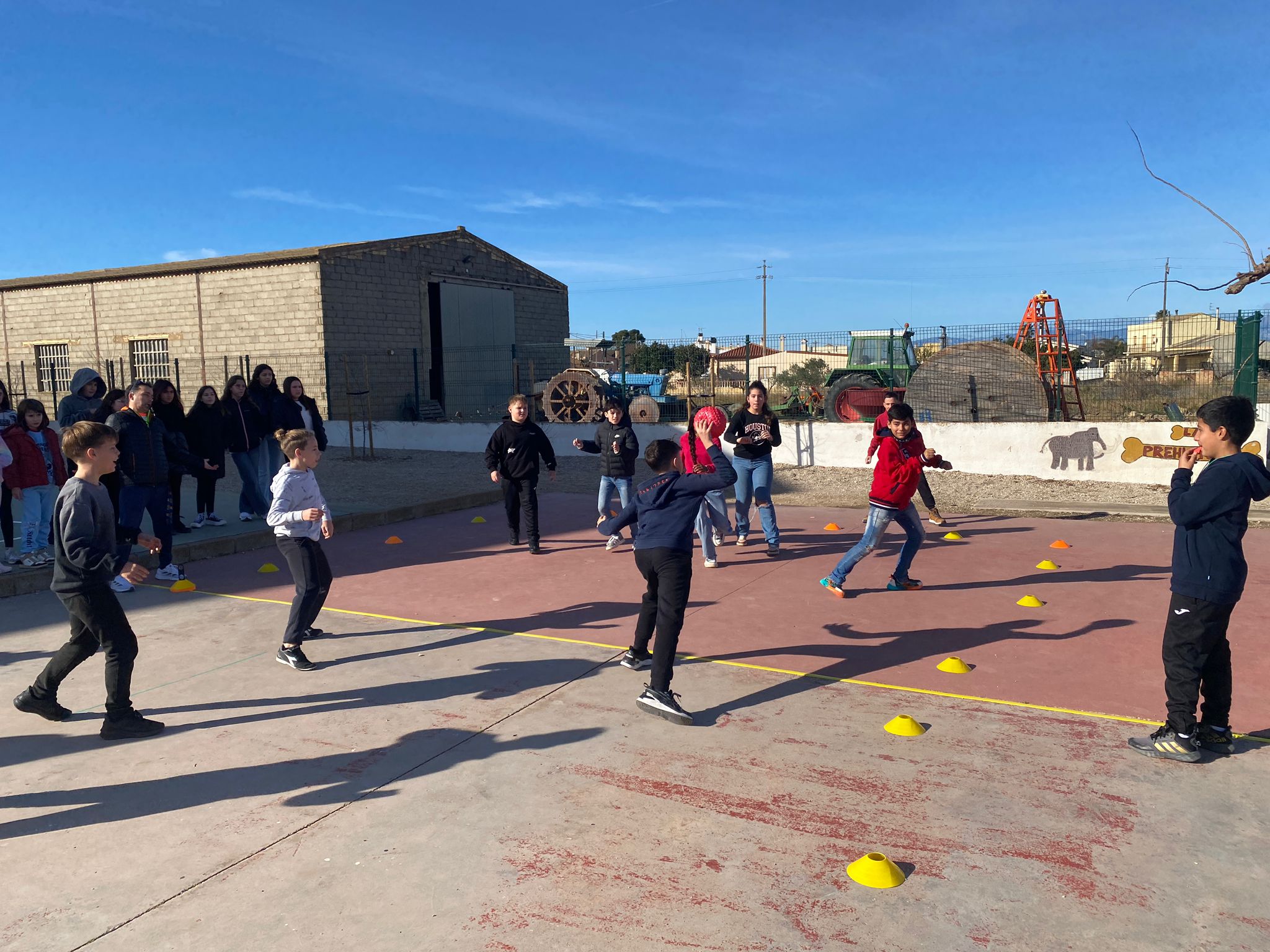 WhatsApp Image 2025-02-13 at 10.49.56 (3)