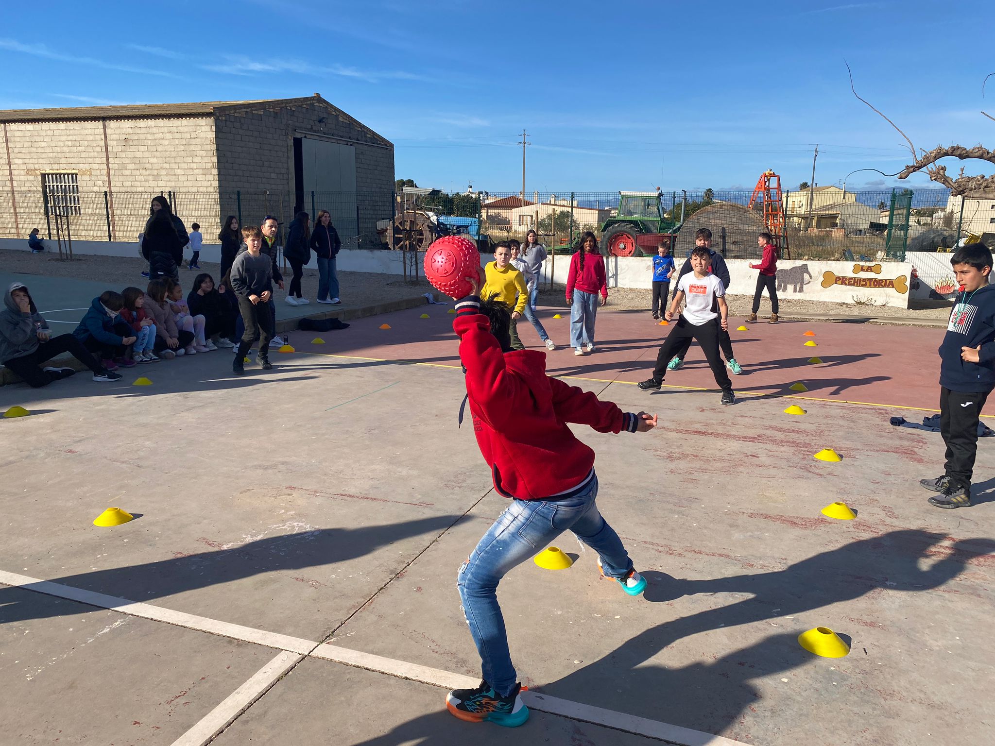 WhatsApp Image 2025-02-13 at 10.49.56