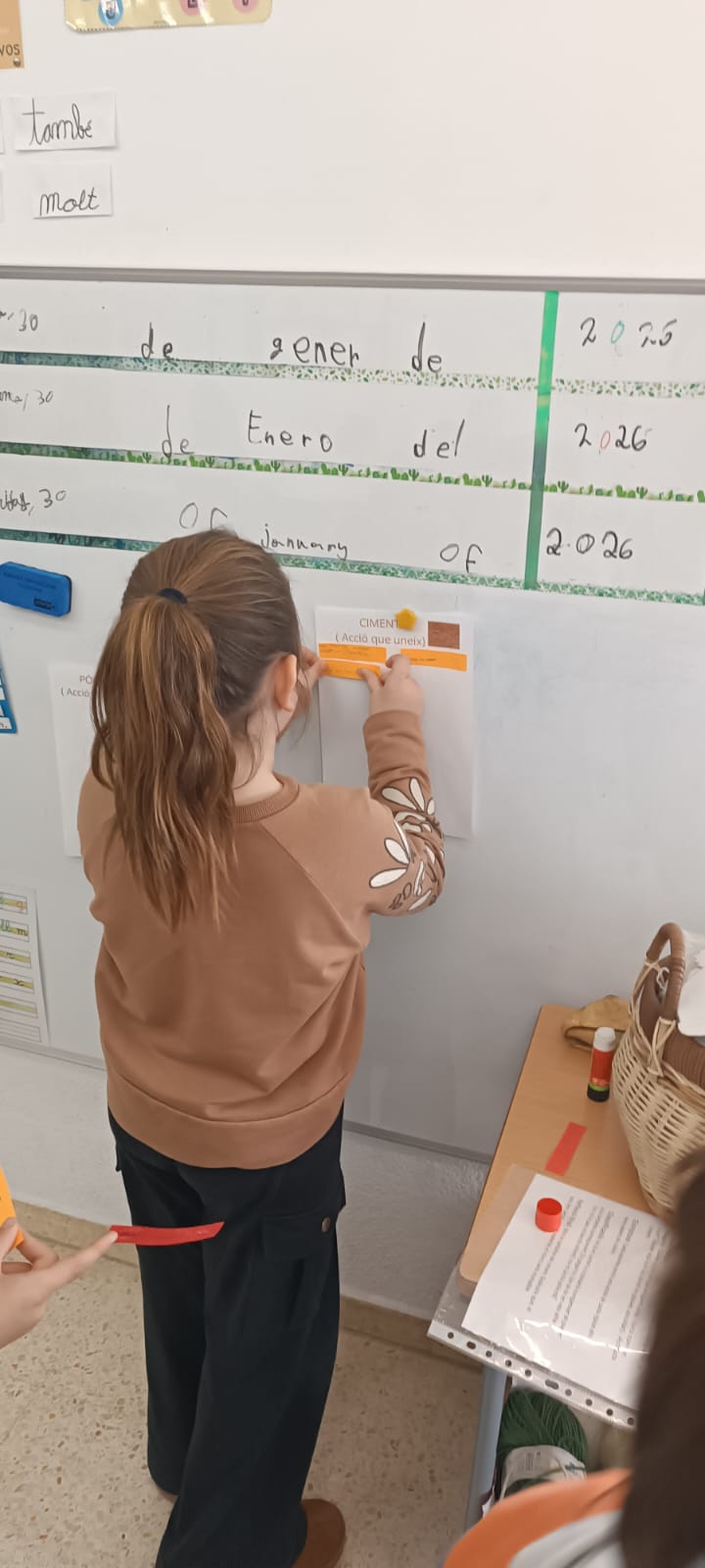 WhatsApp Image 2026-01-30 at 17.07.05