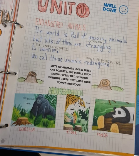 Screenshot_20260308_204928_Instagram