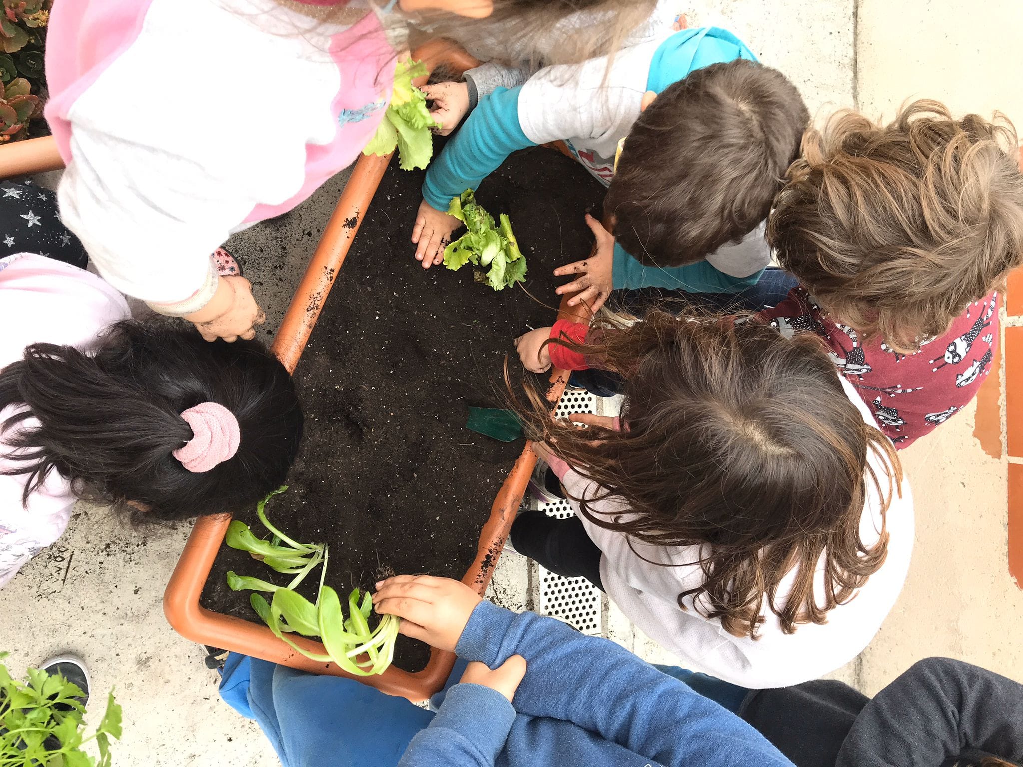 Escoles + Sostenibles