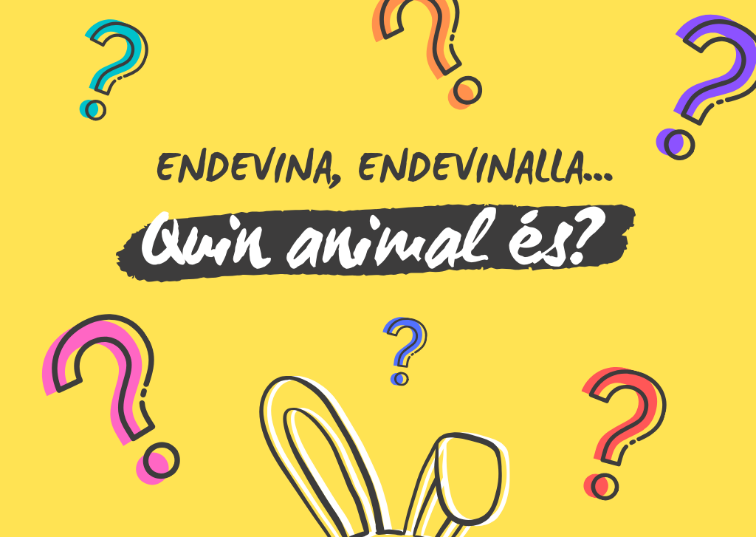 CATALÀ CI: M'ENDEVINES? – Institut Escola Can Filuà