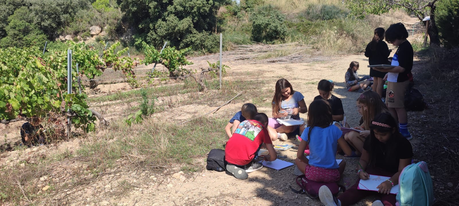 Foto de Carol MV (1)