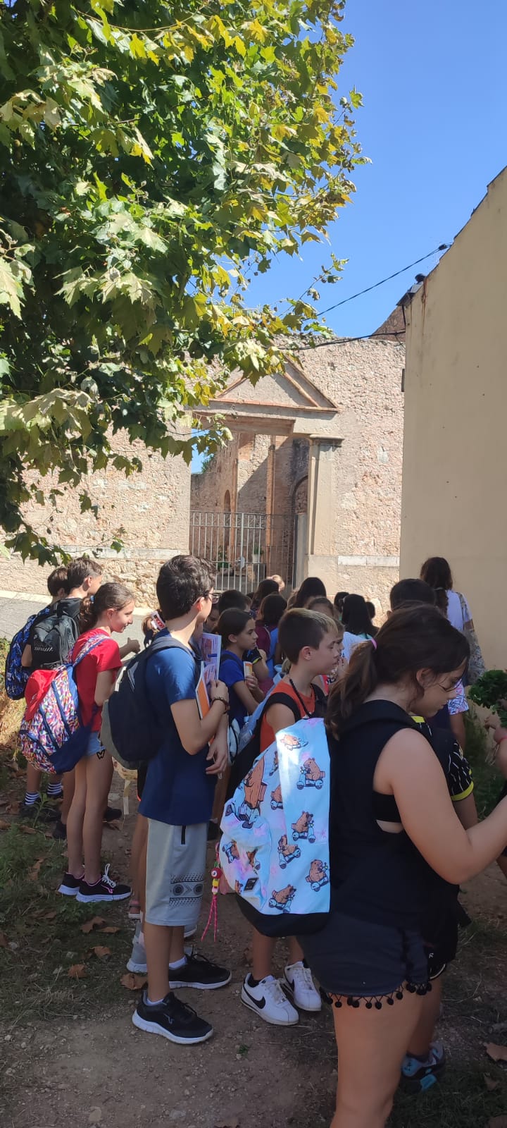 Foto de Carol MV (2)