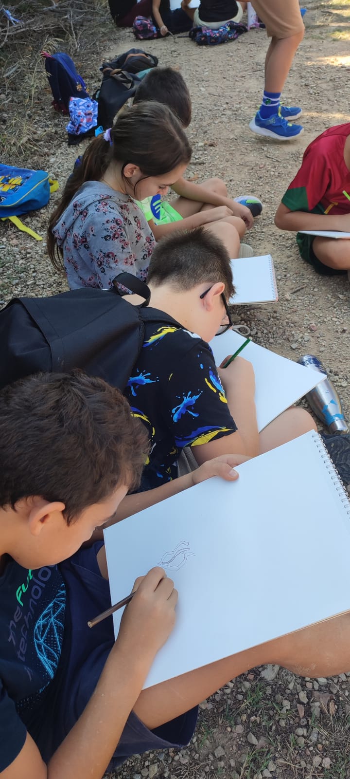 Foto de Carol MV (5)