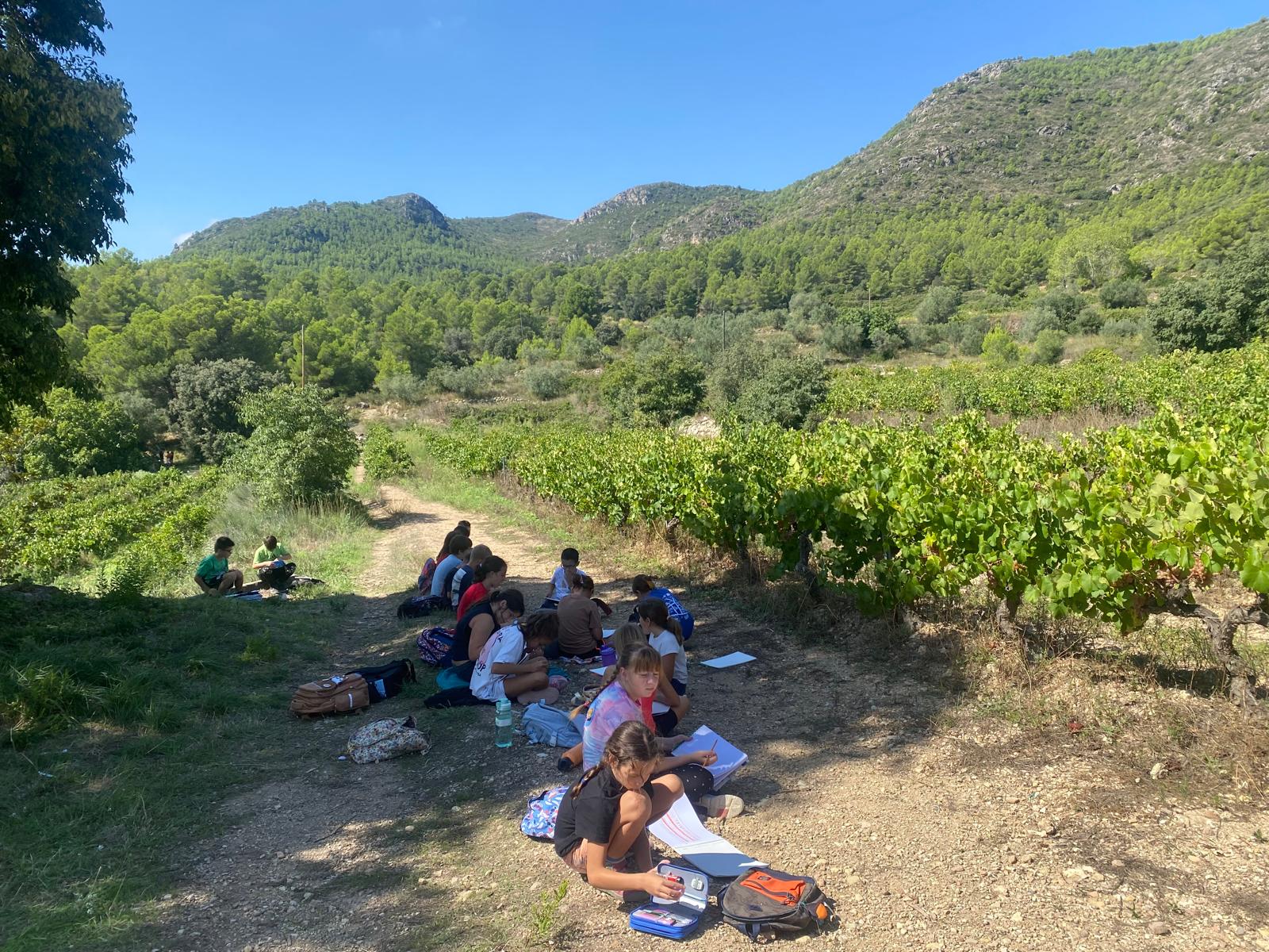 Foto de Carol MV (7)