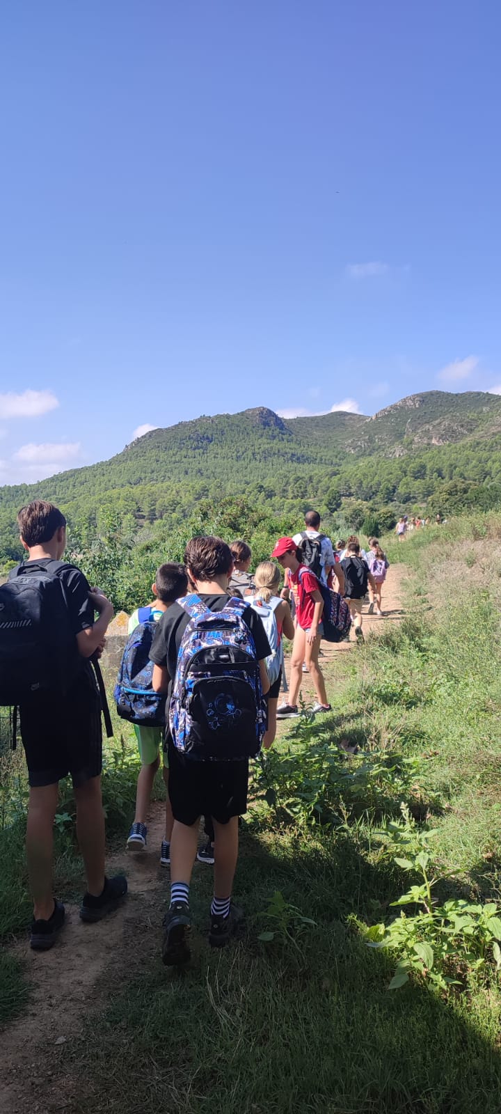 Foto de Carol MV (8)