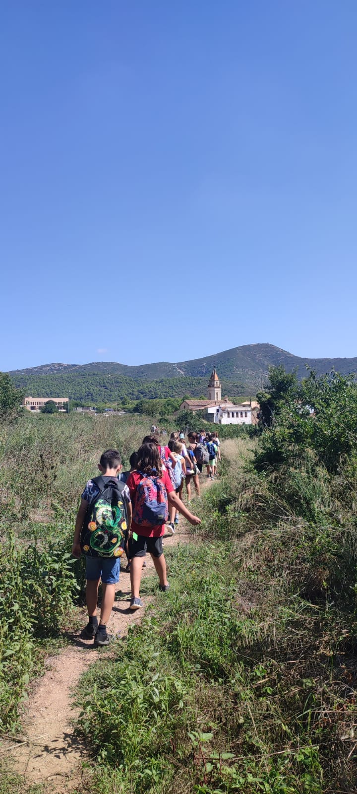 Foto de Carol MV (9)