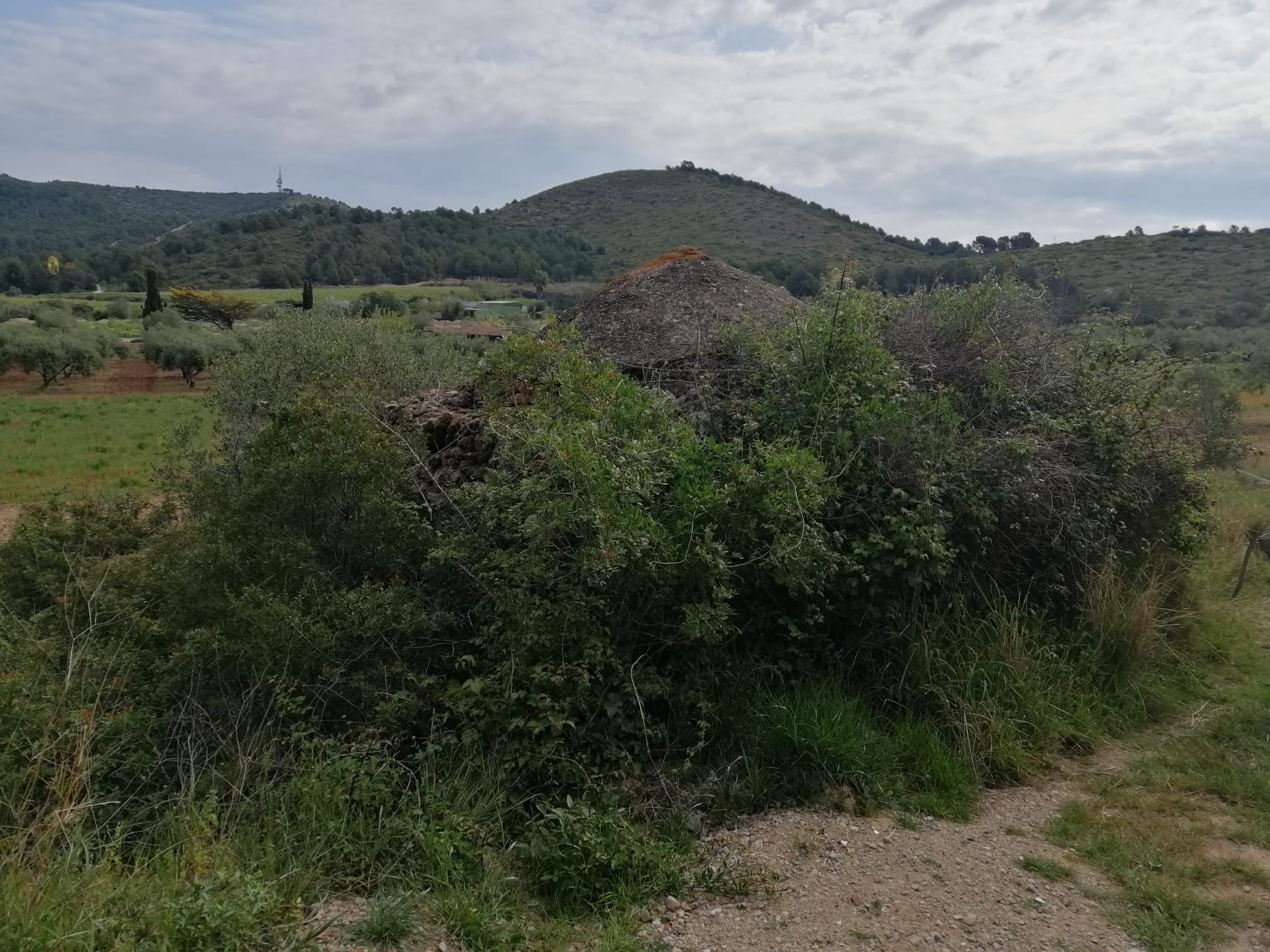 65fba9c4-c11c-454c-aac3-292b4039660c