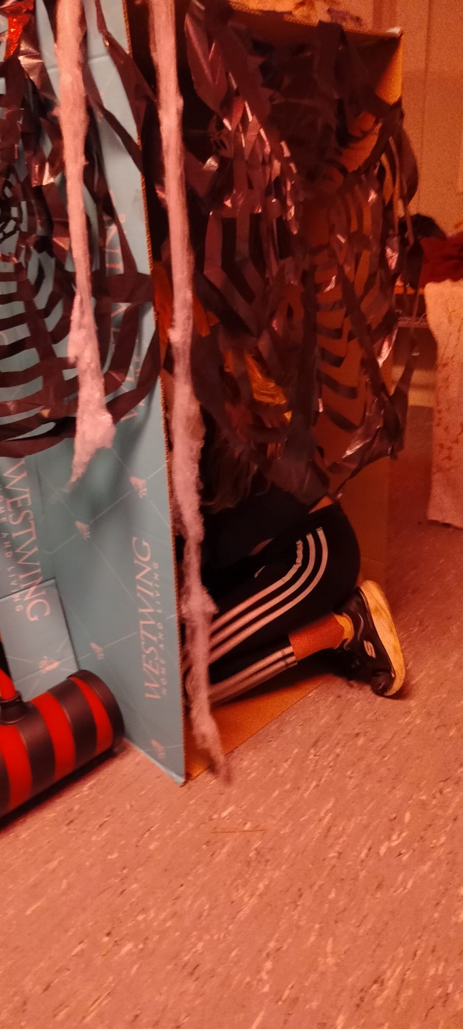 PHOTO-2024-10-29-19-54-36