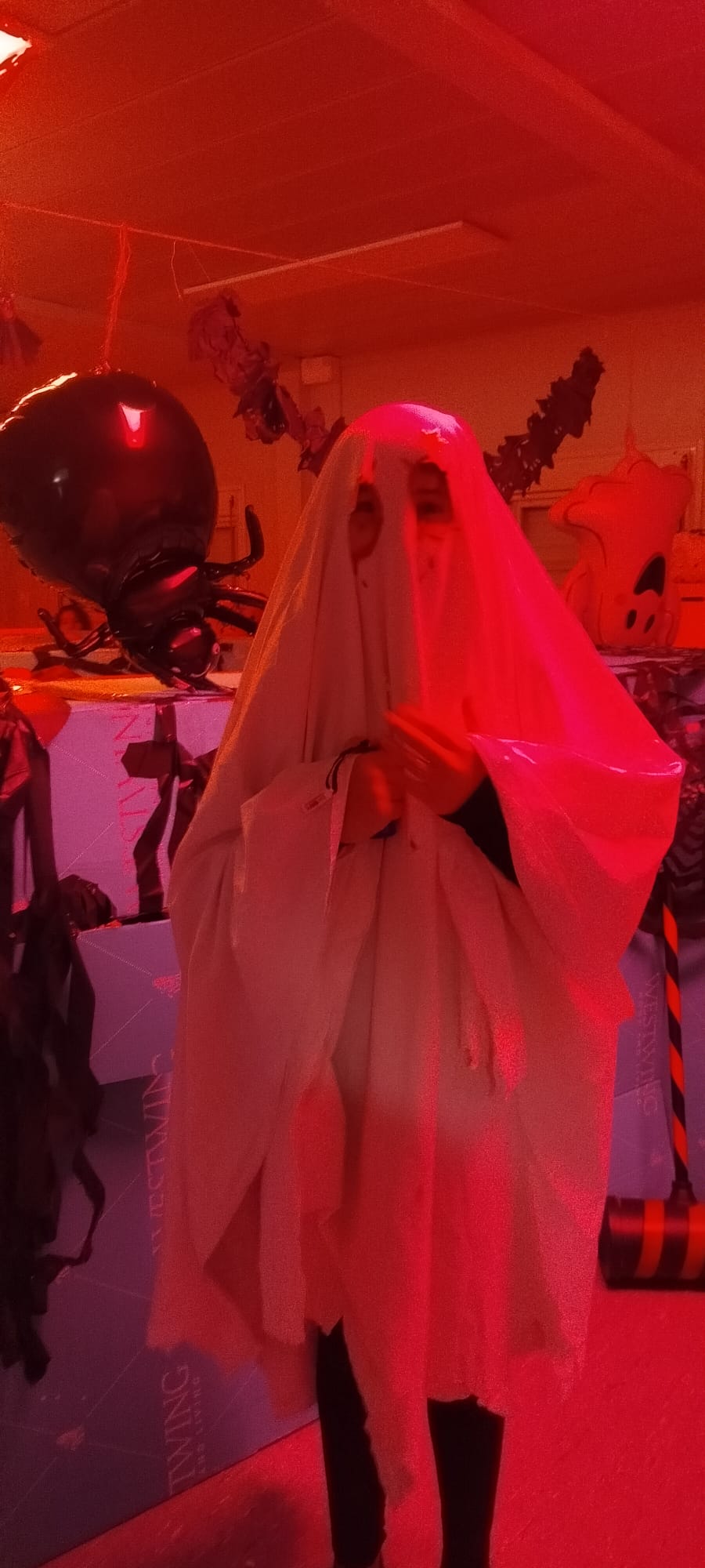 PHOTO-2024-10-29-19-54-37